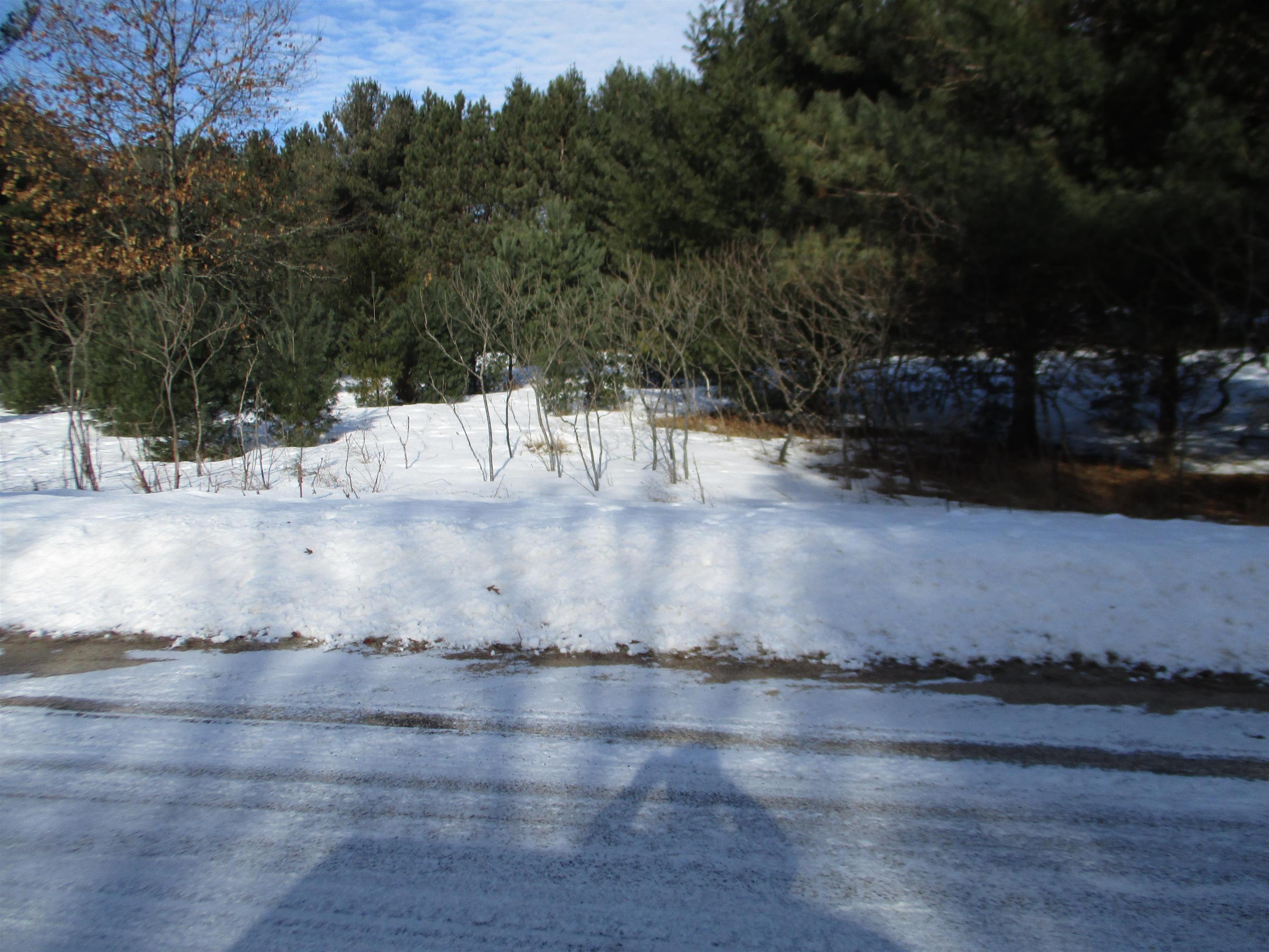 1922 BABBLING BROOK ROAD, Stevens Point, Wisconsin 54481, ,Land,For Sale,1922 BABBLING BROOK ROAD,22600472