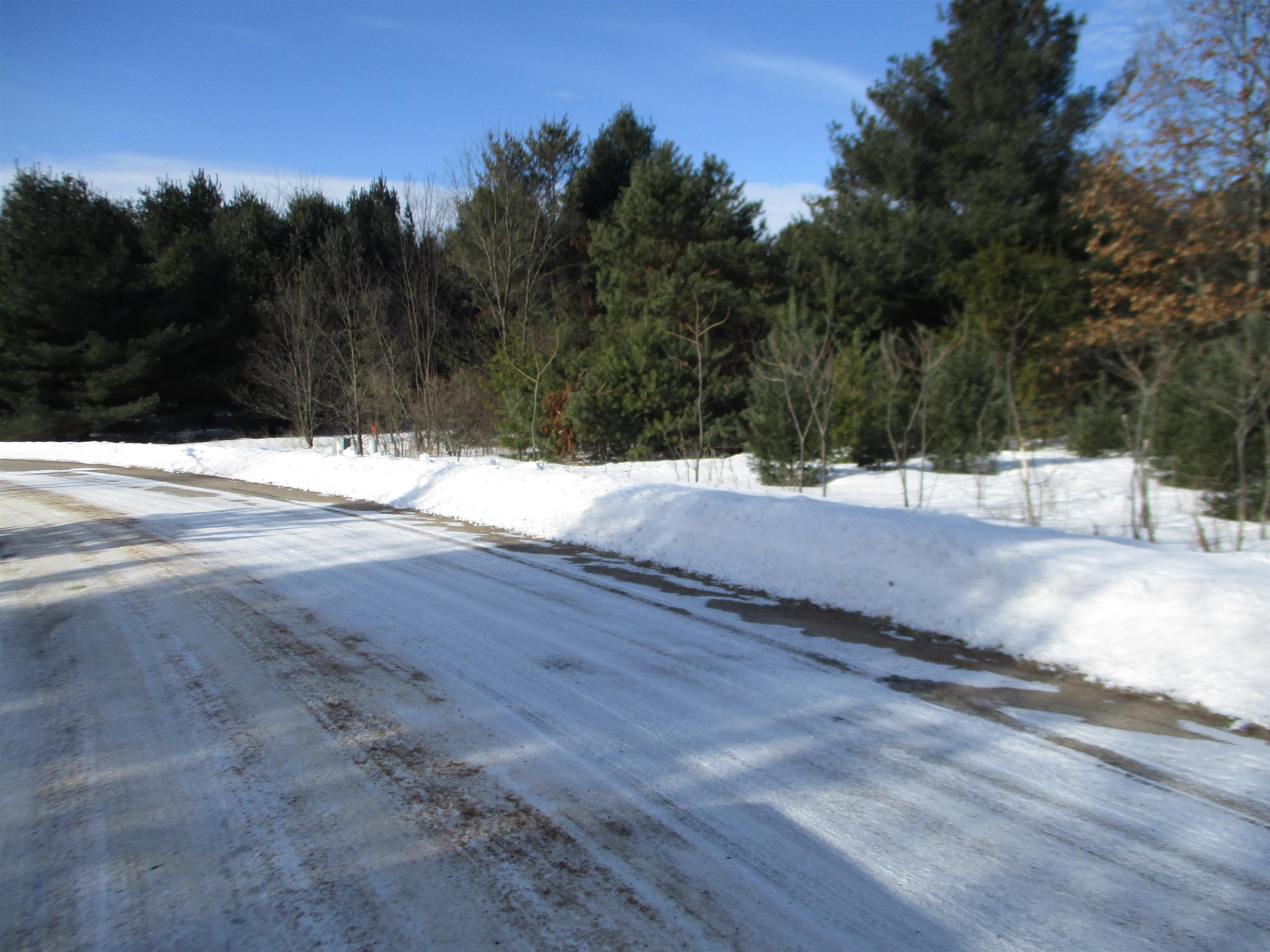 0 BABBLING BROOK ROAD, Stevens Point, Wisconsin 54481, ,Land,For Sale,0 BABBLING BROOK ROAD,22600473