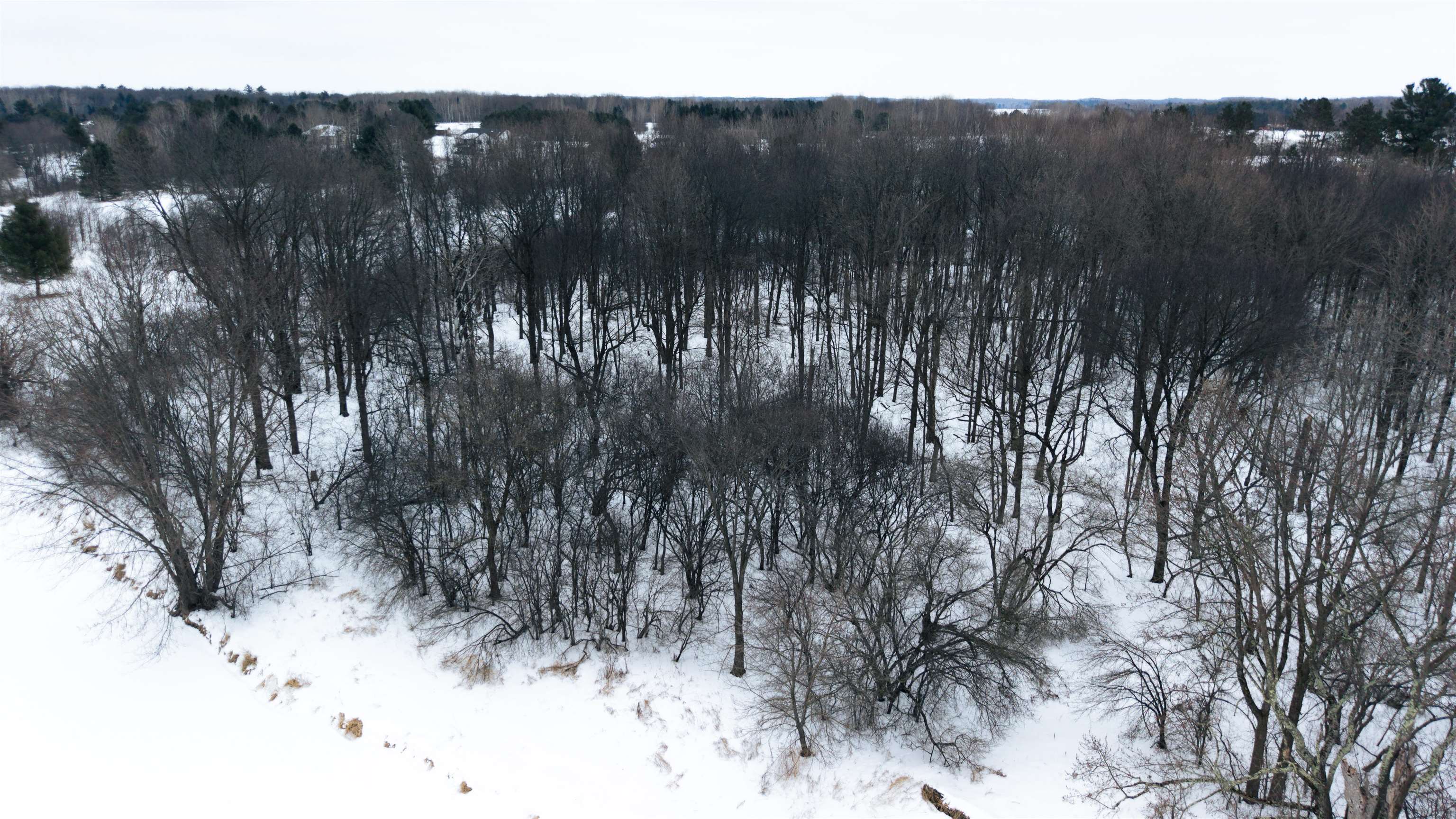 Lot 4 OAKHILL CIRCLE, Ringle, Wisconsin 54471, ,Land,For Sale,Lot 4 OAKHILL CIRCLE,22600480