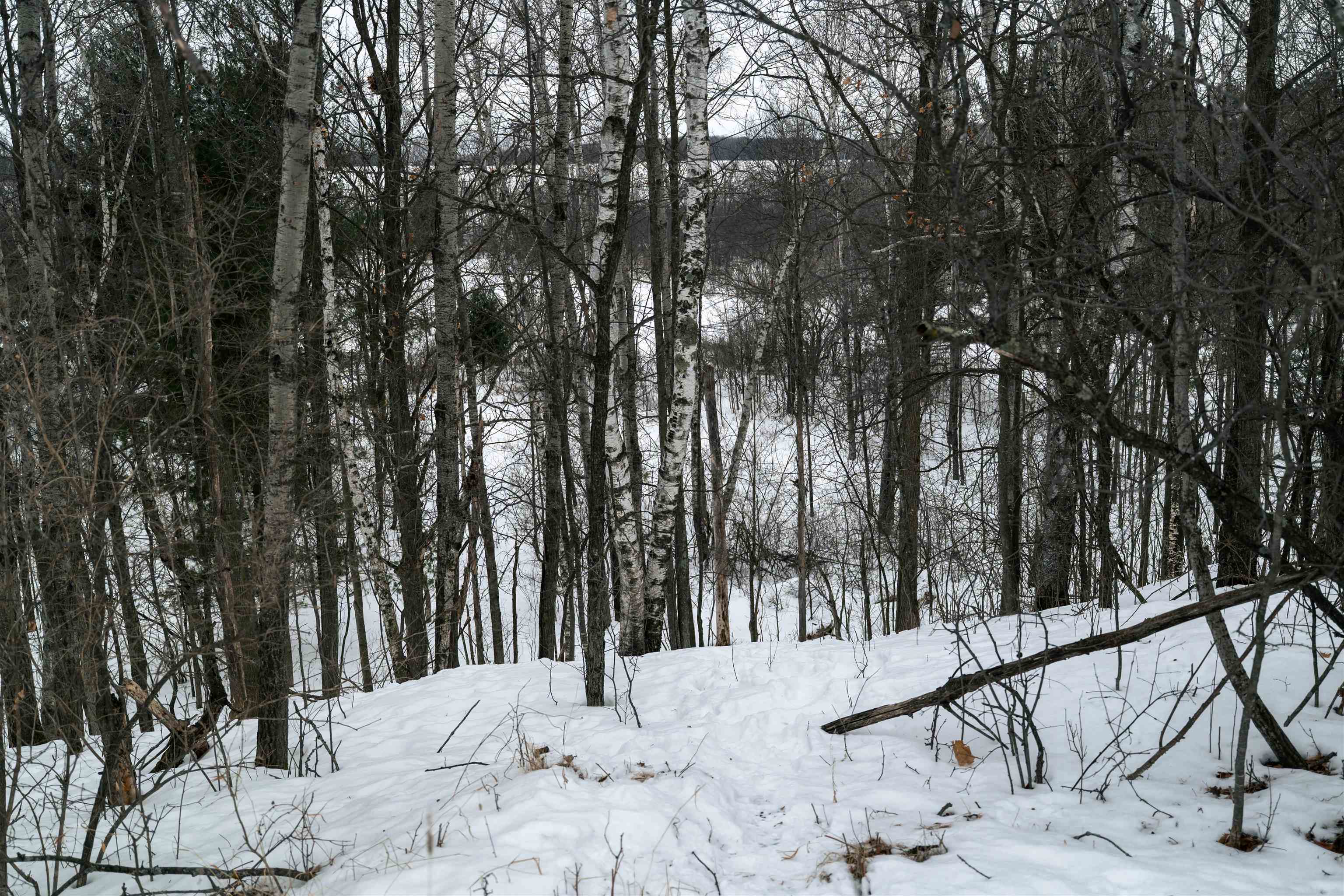 Lot 4 OAKHILL CIRCLE, Ringle, Wisconsin 54471, ,Land,For Sale,Lot 4 OAKHILL CIRCLE,22600480