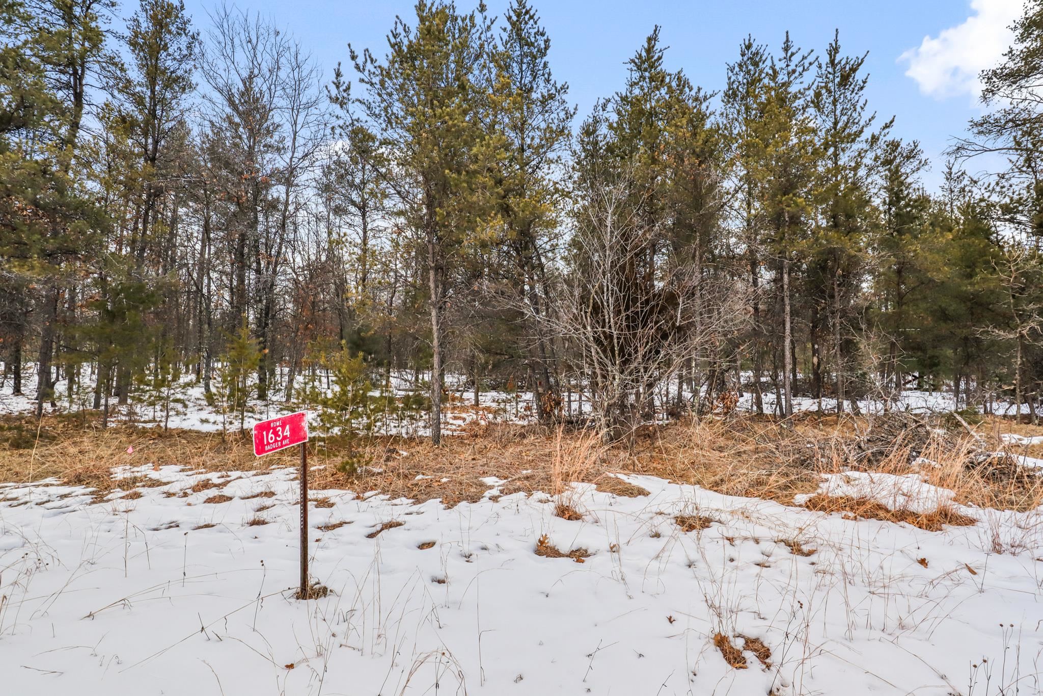 1634 BADGER AVENUE, Nekoosa, Wisconsin 54457, ,Land,For Sale,1634 BADGER AVENUE,22600483