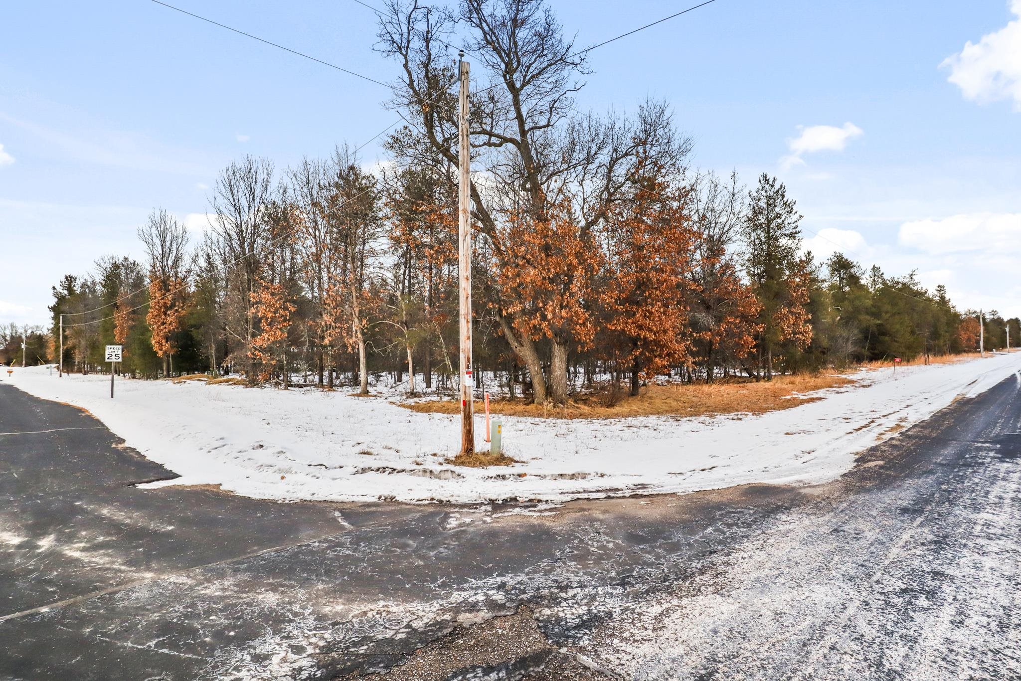 1634 BADGER AVENUE, Nekoosa, Wisconsin 54457, ,Land,For Sale,1634 BADGER AVENUE,22600483