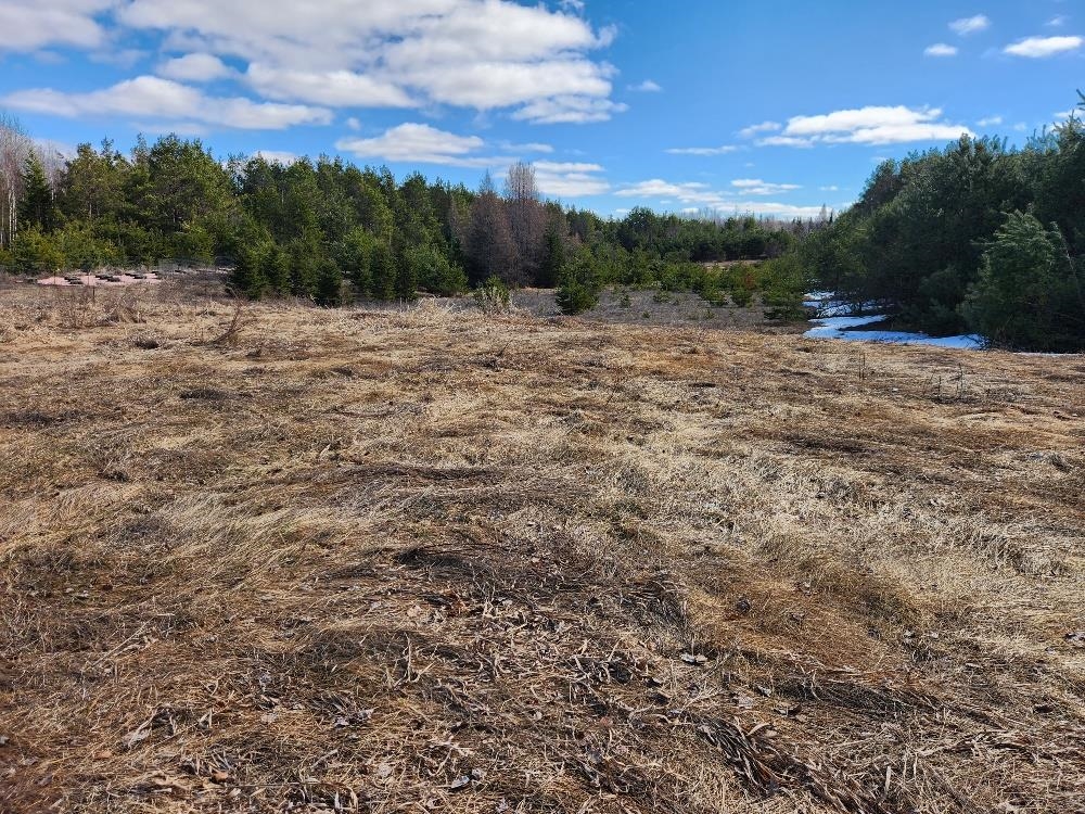 LEACH ROAD, Irma, Wisconsin 54442, ,Land,For Sale,LEACH ROAD,22600521