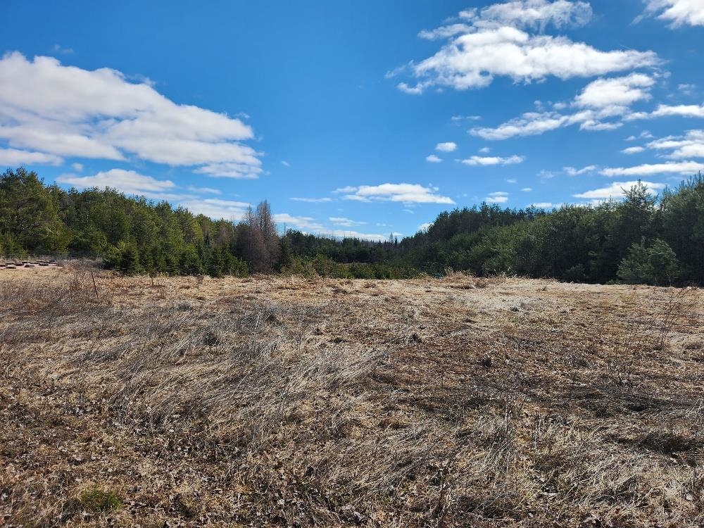 LEACH ROAD, Irma, Wisconsin 54442, ,Land,For Sale,LEACH ROAD,22600521