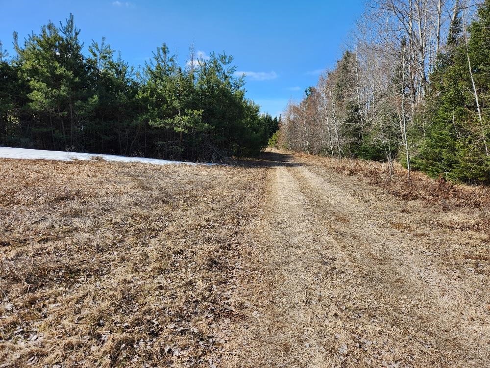 LEACH ROAD, Irma, Wisconsin 54442, ,Land,For Sale,LEACH ROAD,22600521