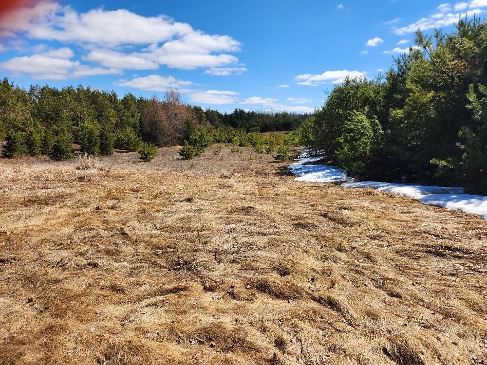 LEACH ROAD, Irma, Wisconsin 54442, ,Land,For Sale,LEACH ROAD,22600521
