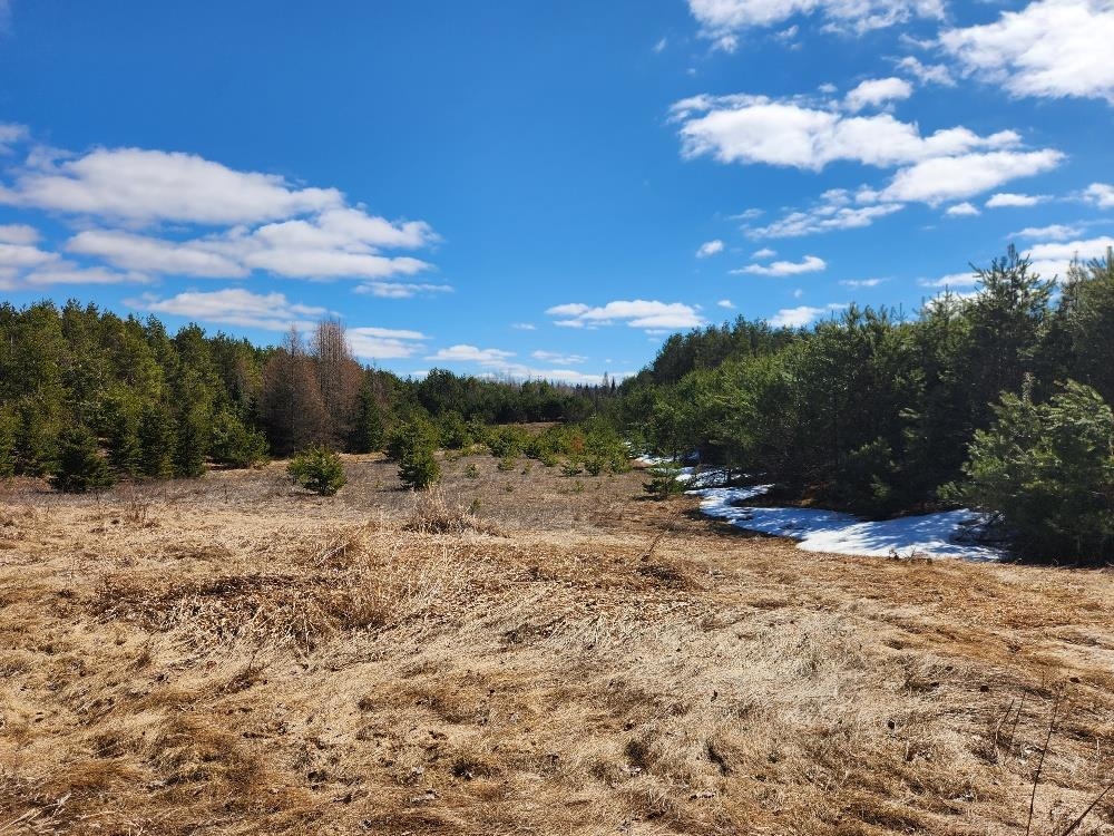 LEACH ROAD, Irma, Wisconsin 54442, ,Land,For Sale,LEACH ROAD,22600521