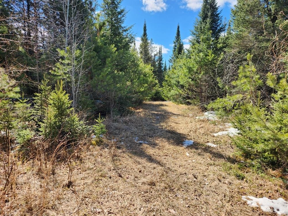 LEACH ROAD, Irma, Wisconsin 54442, ,Land,For Sale,LEACH ROAD,22600521