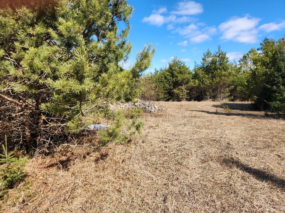 LEACH ROAD, Irma, Wisconsin 54442, ,Land,For Sale,LEACH ROAD,22600521