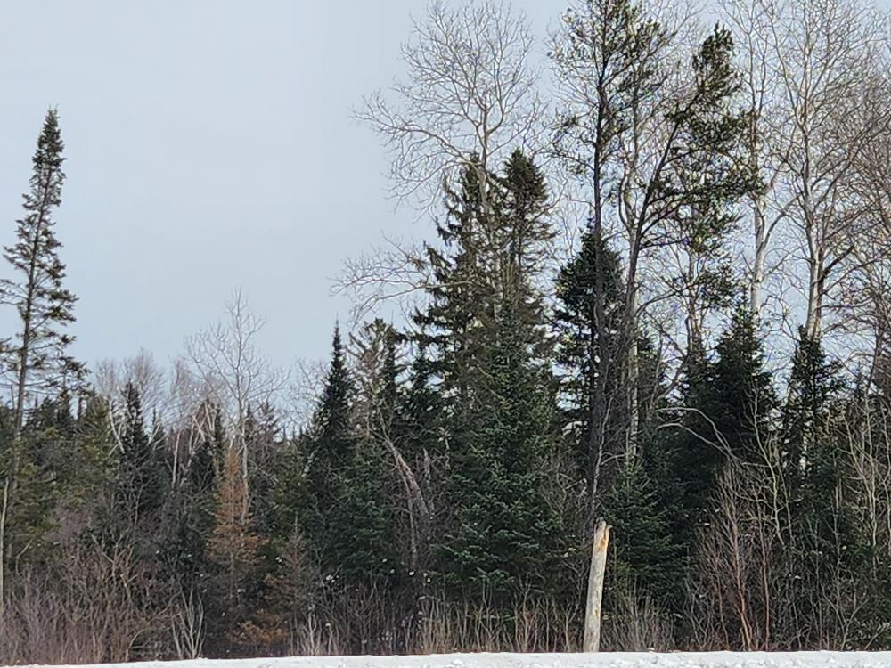 LEACH ROAD, Irma, Wisconsin 54442, ,Land,For Sale,LEACH ROAD,22600521