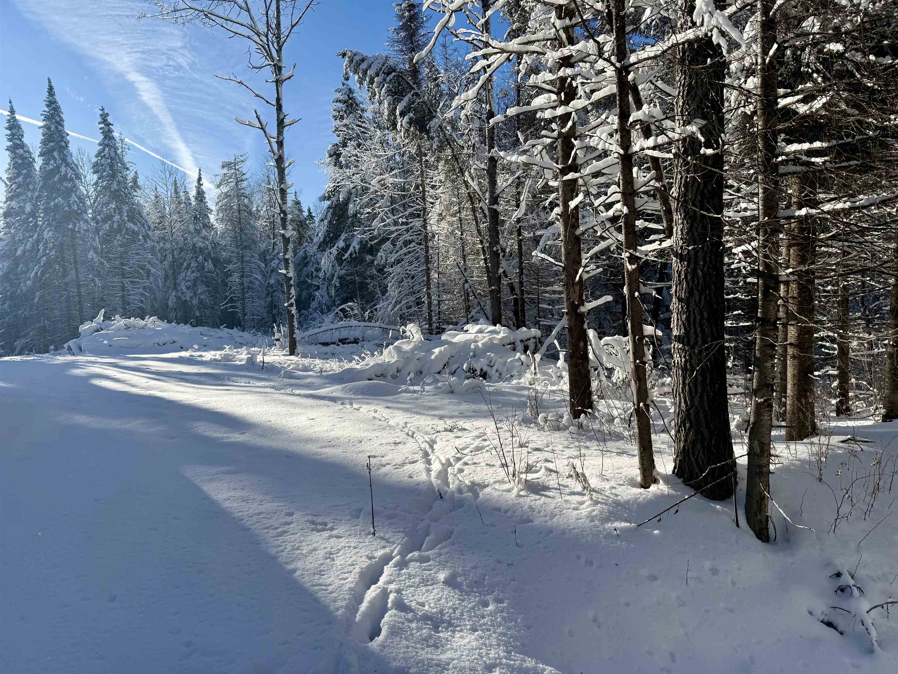 0000 GARVIN PLACE, Tripoli, Wisconsin 54564, ,Land,For Sale,0000 GARVIN PLACE,22600535