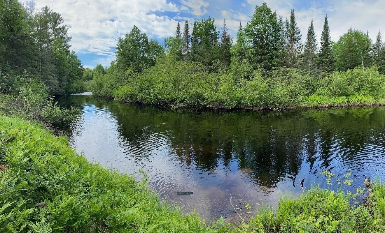 0000 GARVIN PLACE, Tripoli, Wisconsin 54564, ,Land,For Sale,0000 GARVIN PLACE,22600535