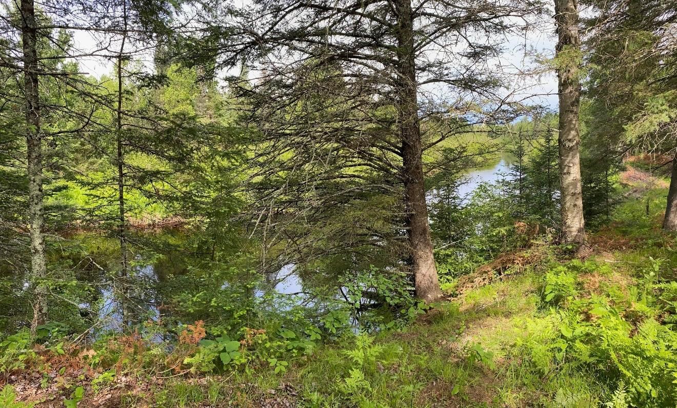 0000 GARVIN PLACE, Tripoli, Wisconsin 54564, ,Land,For Sale,0000 GARVIN PLACE,22600535