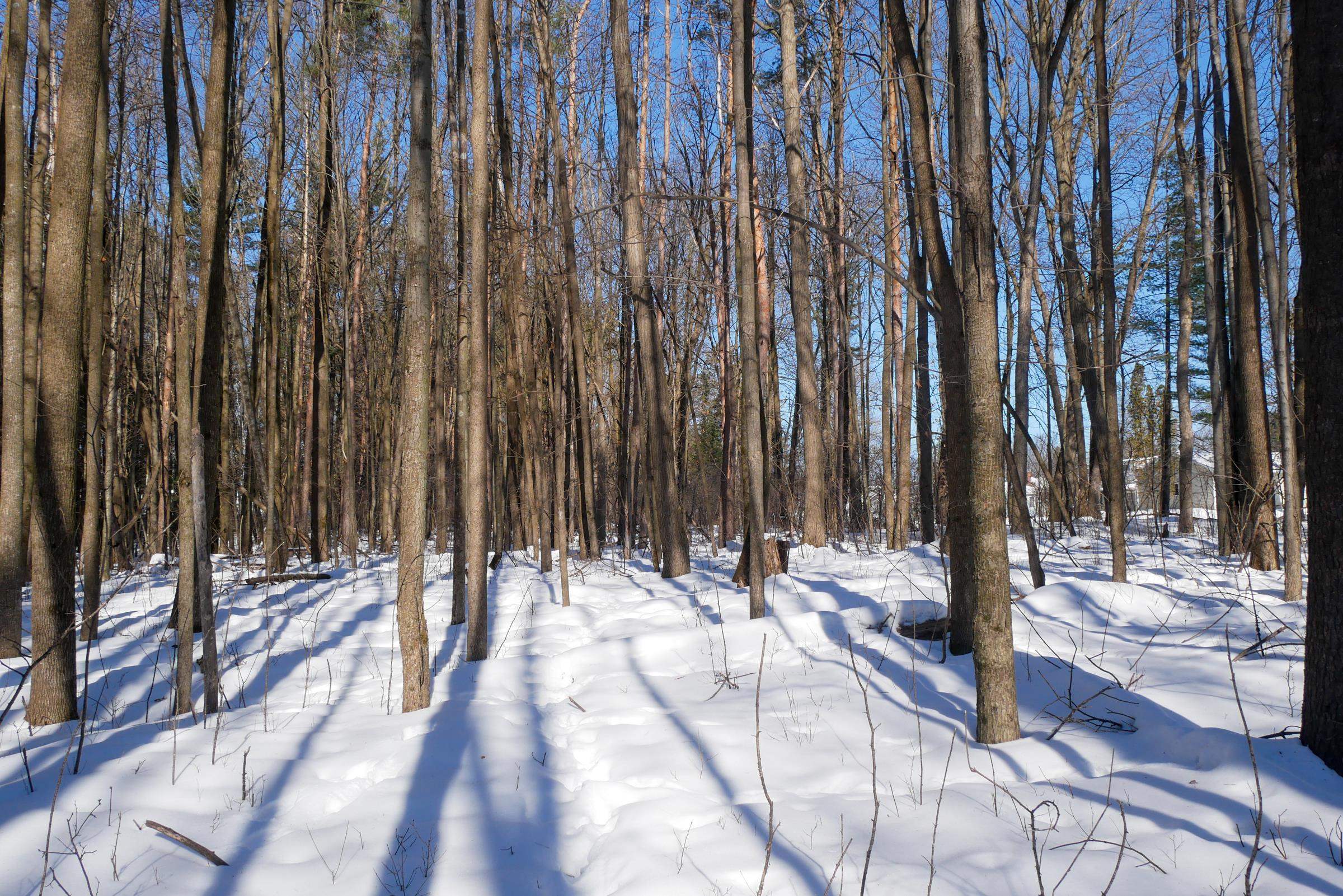 +/-3 Acres CEDAR STREET, Medford, Wisconsin 54451, ,Land,For Sale,+/-3 Acres CEDAR STREET,22600536