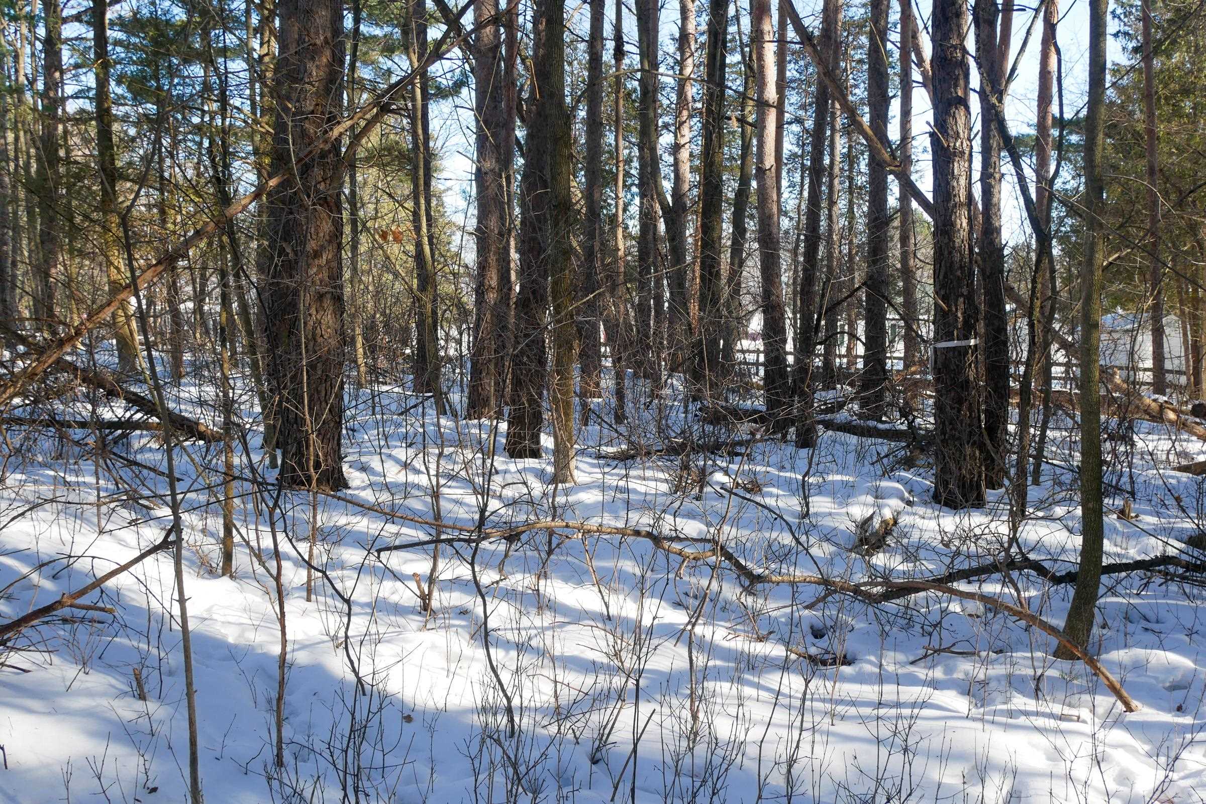 +/-3 Acres CEDAR STREET, Medford, Wisconsin 54451, ,Land,For Sale,+/-3 Acres CEDAR STREET,22600536