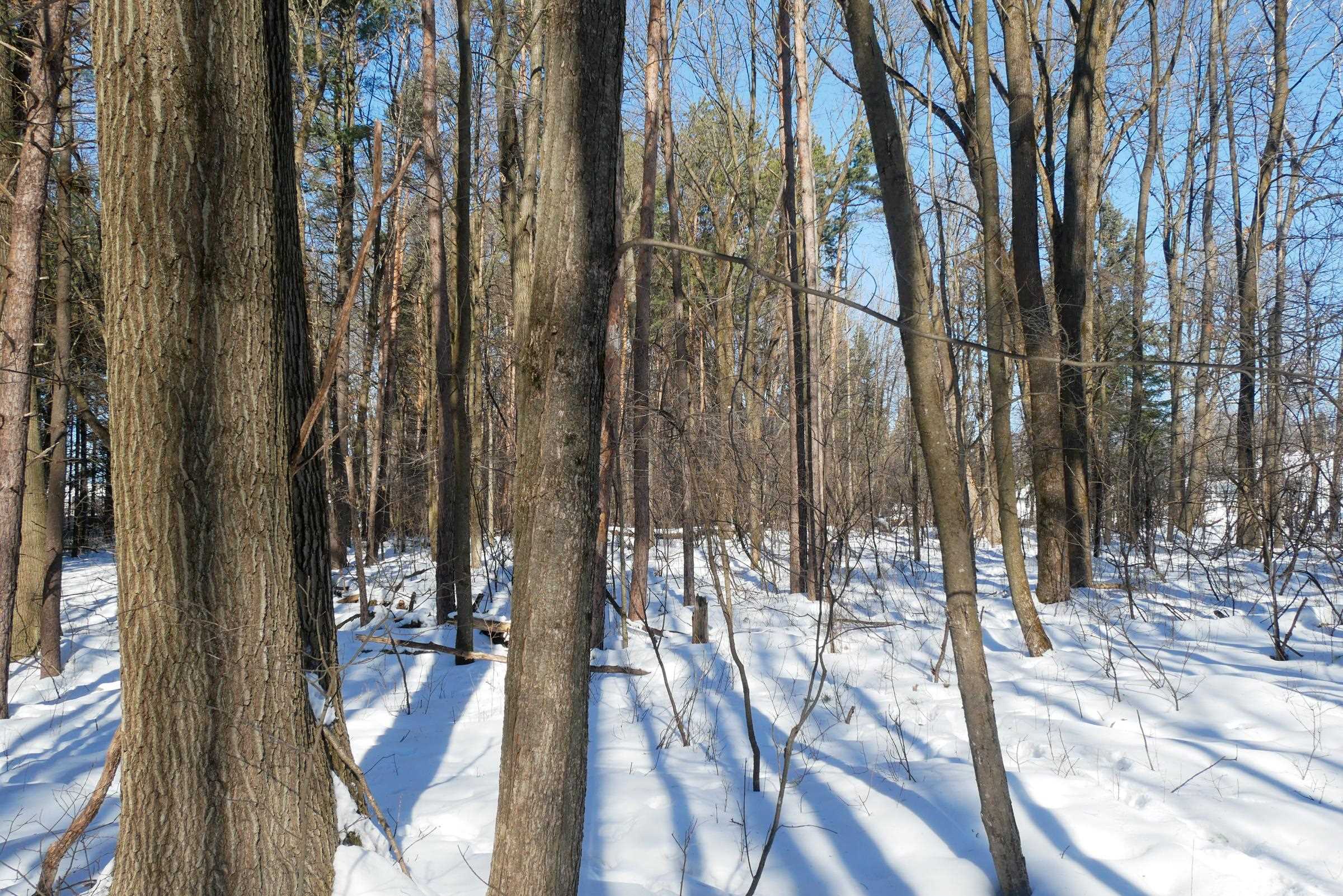 +/-3 Acres CEDAR STREET, Medford, Wisconsin 54451, ,Land,For Sale,+/-3 Acres CEDAR STREET,22600536