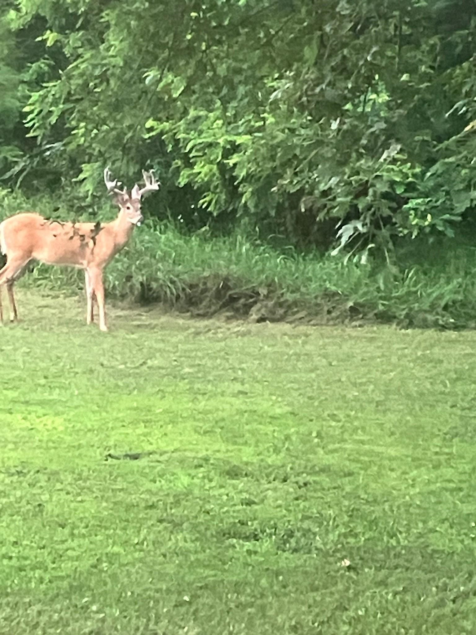 12320 PRAIRIE DRIVE, Plover, Wisconsin 54467, 4 Bedrooms Bedrooms, ,1 BathroomBathrooms,Residential,For Sale,12320 PRAIRIE DRIVE,22600554