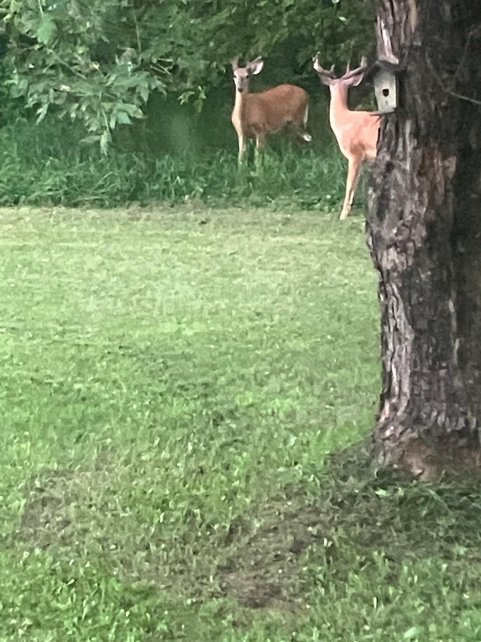 12320 PRAIRIE DRIVE, Plover, Wisconsin 54467, 4 Bedrooms Bedrooms, ,1 BathroomBathrooms,Residential,For Sale,12320 PRAIRIE DRIVE,22600554