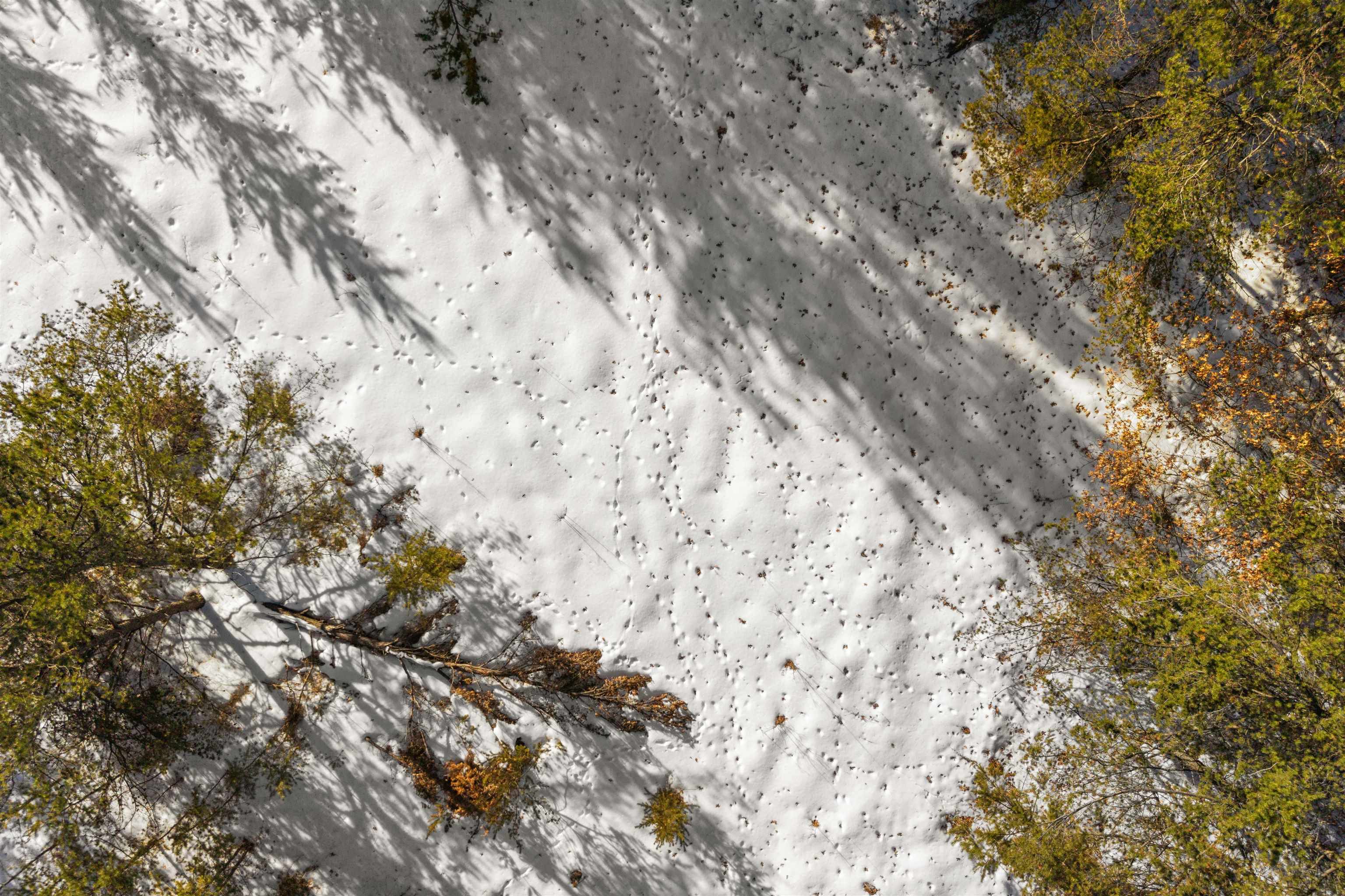 12320 PRAIRIE DRIVE, Plover, Wisconsin 54467, 4 Bedrooms Bedrooms, ,1 BathroomBathrooms,Residential,For Sale,12320 PRAIRIE DRIVE,22600554