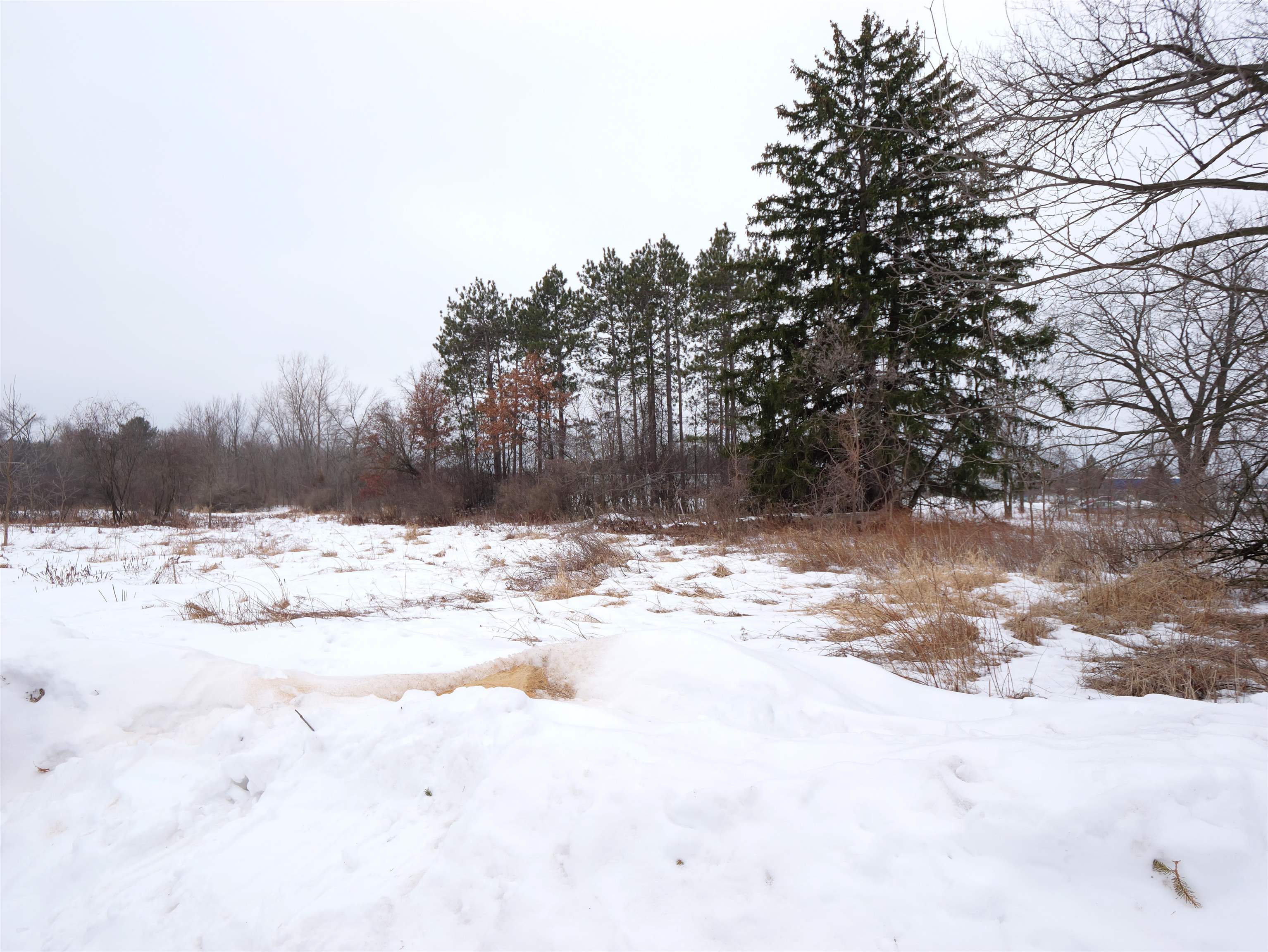 2251 W GRAND AVENUE, Wisconsin Rapids, Wisconsin 54495, ,Land,For Sale,2251 W GRAND AVENUE,22600555
