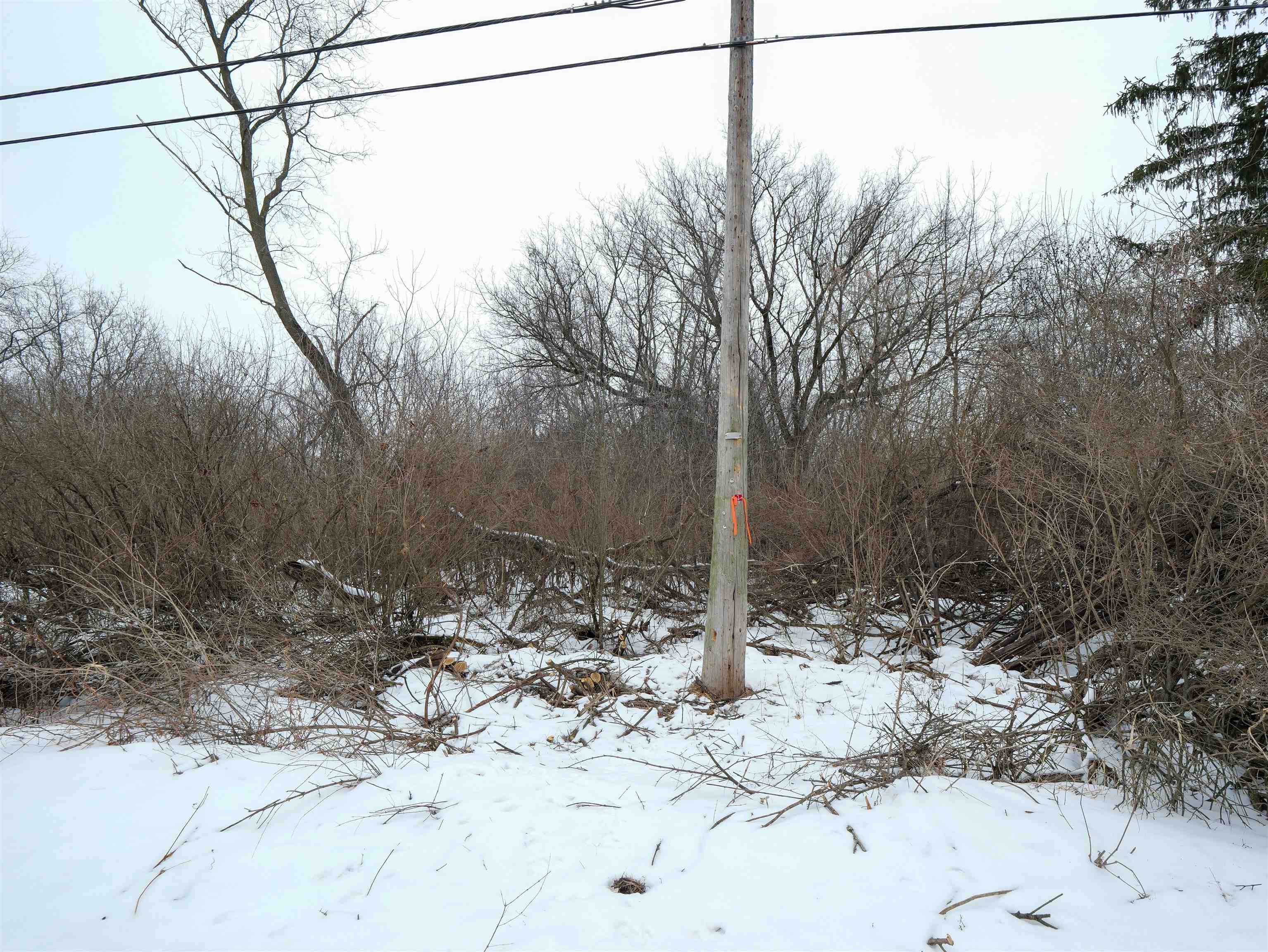 2230 ALTON STREET, Wisconsin Rapids, Wisconsin 54495, ,Land,For Sale,2230 ALTON STREET,22600556