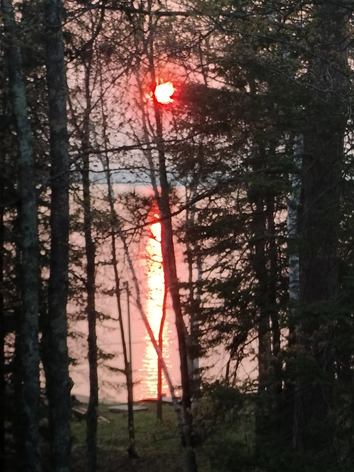 N12557 N SMALL ROAD, HAYWARD, Wisconsin 54843, 2 Bedrooms Bedrooms, ,1 BathroomBathrooms,Residential,For Sale,N12557 N SMALL ROAD,22600604