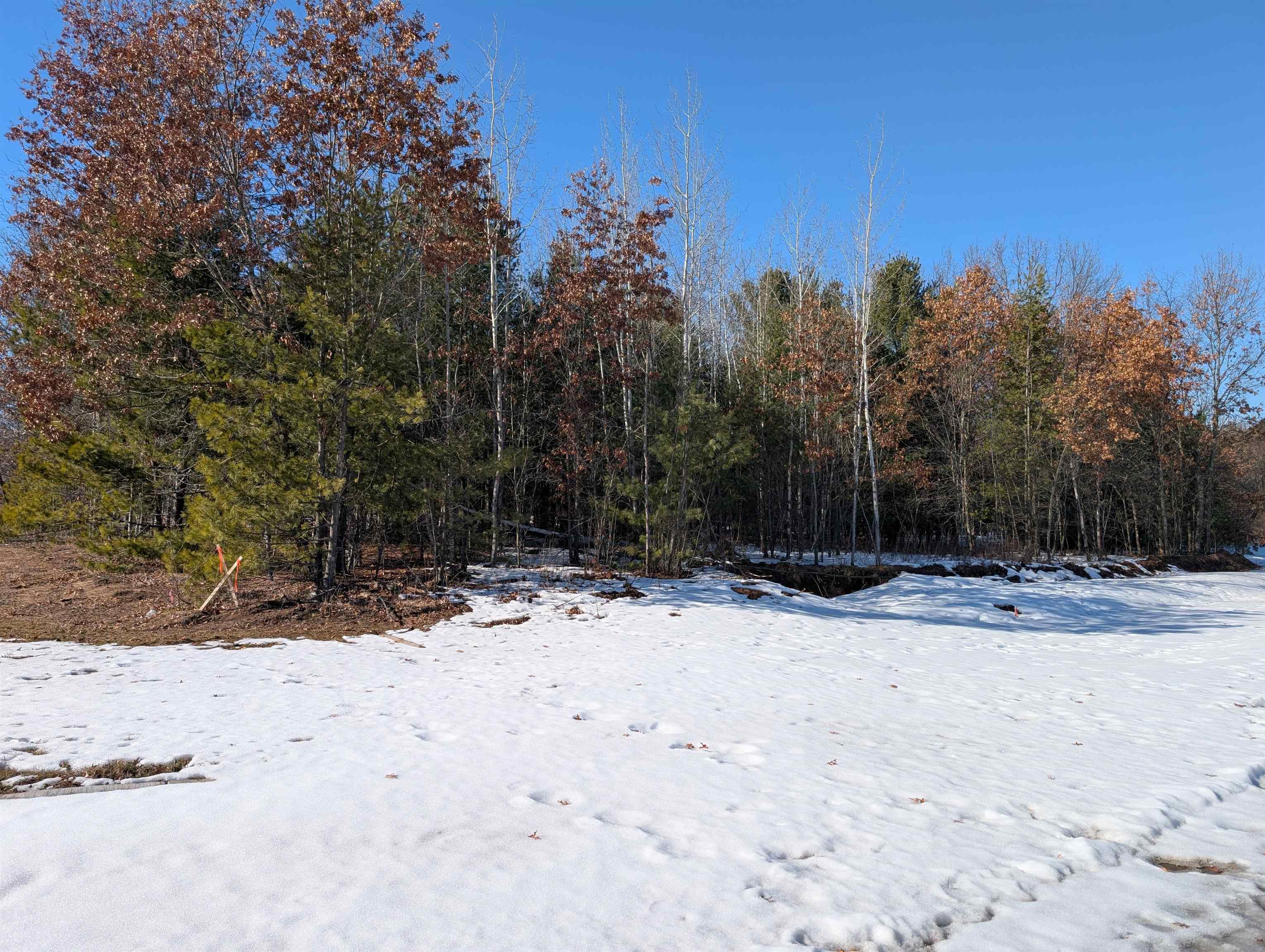 3455 RAVENSWOOD WAY, Plover, Wisconsin 54467, ,Land,For Sale,3455 RAVENSWOOD WAY,22600620