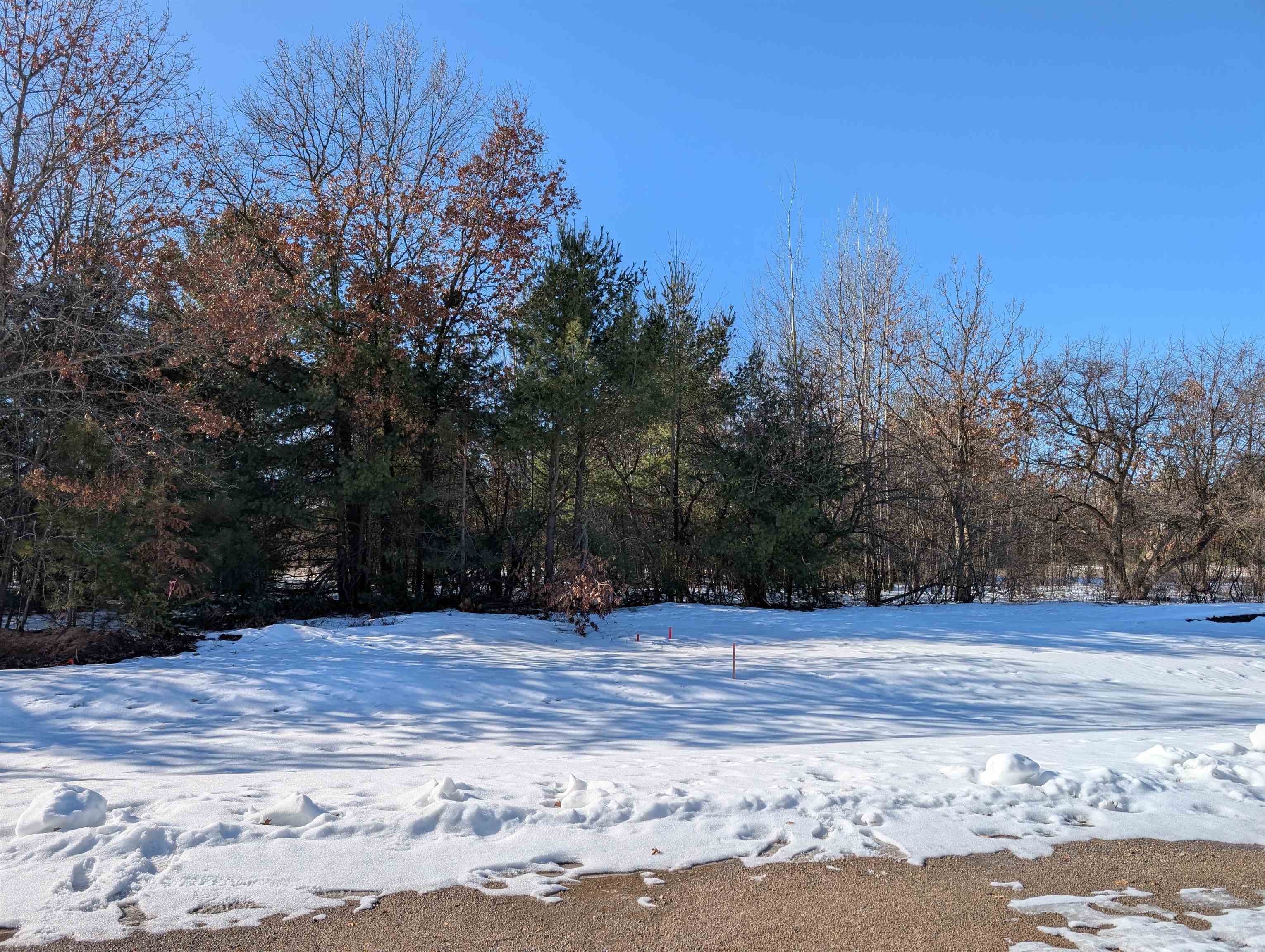 3445 RAVENSWOOD WAY, Plover, Wisconsin 54467, ,Land,For Sale,3445 RAVENSWOOD WAY,22600621