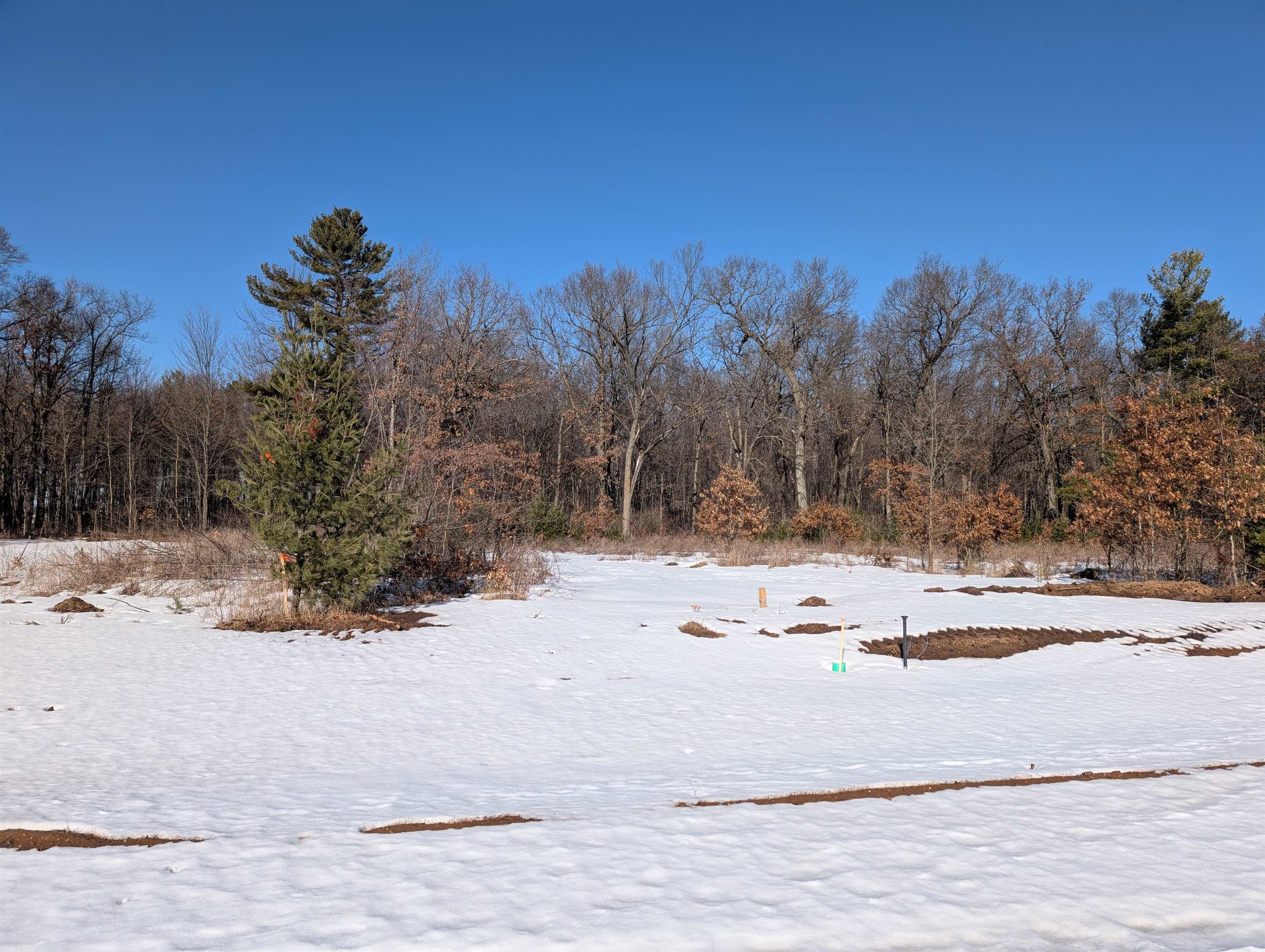 580 TREEHAVEN PLACE, Plover, Wisconsin 54467, ,Land,For Sale,580 TREEHAVEN PLACE,22600625