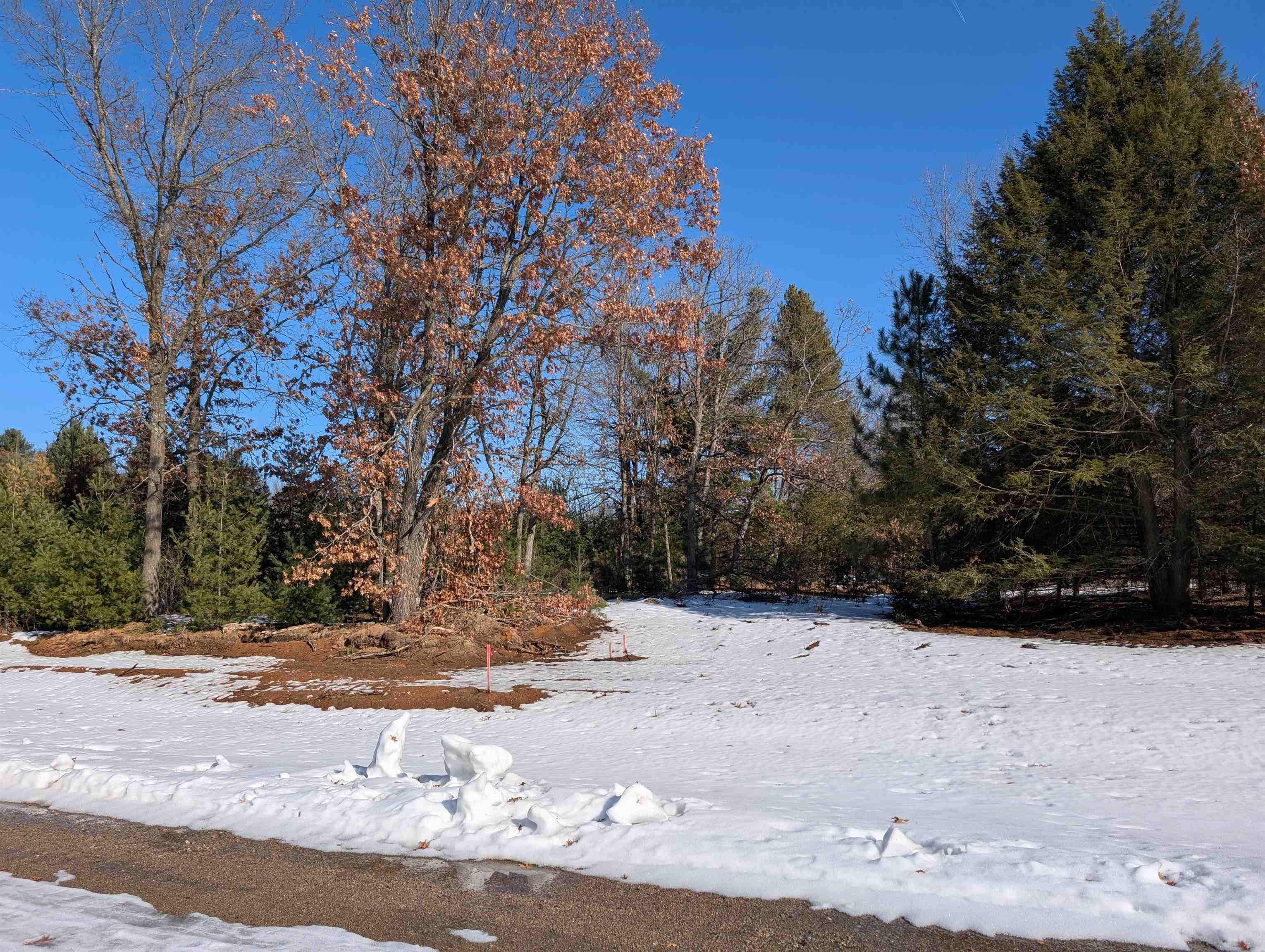 3440 RAVENSWOOD WAY, Plover, Wisconsin 54467, ,Land,For Sale,3440 RAVENSWOOD WAY,22600629