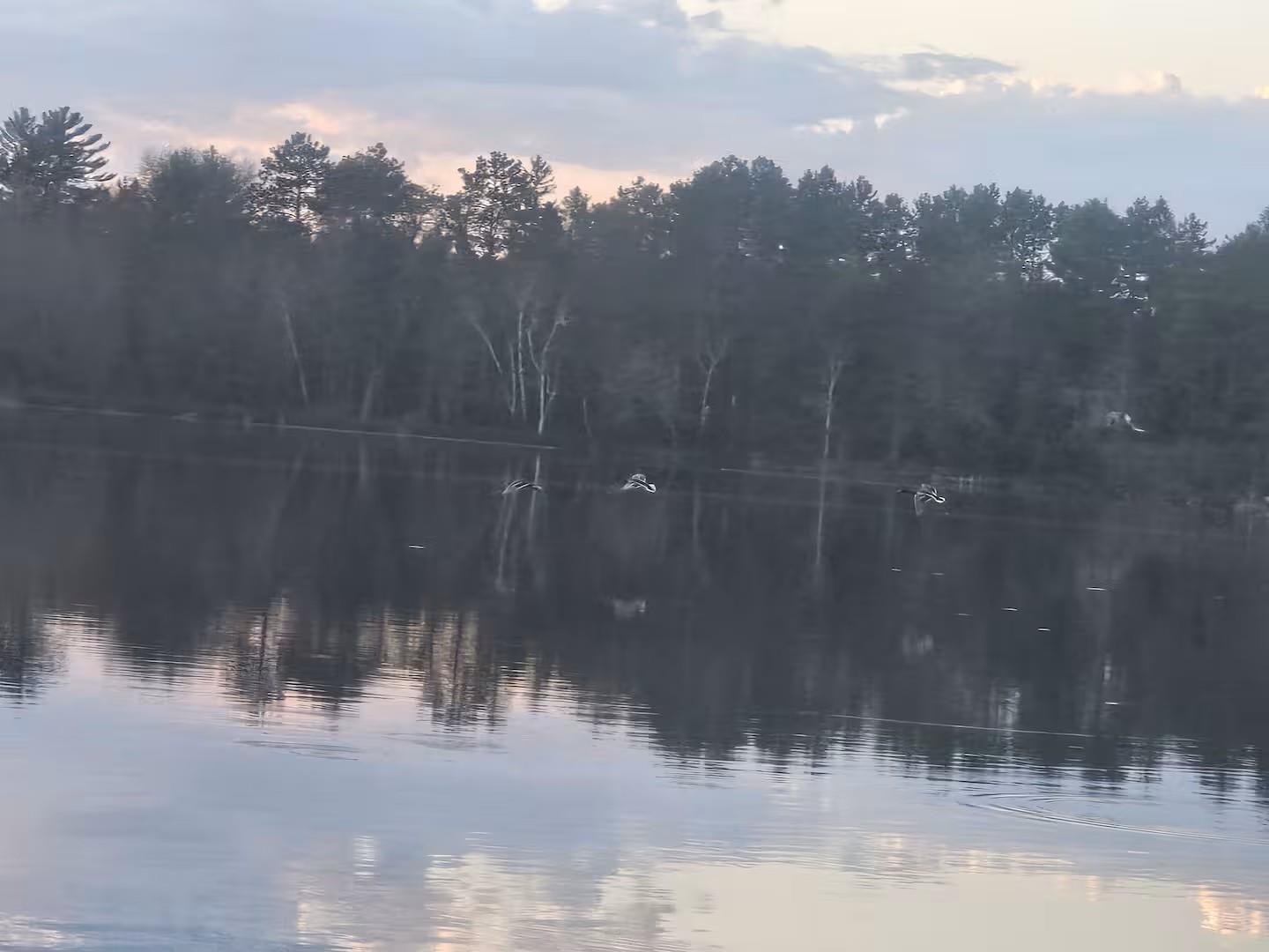 W6158 OAK LANE, Tomahawk, Wisconsin 54487, 2 Bedrooms Bedrooms, ,2 BathroomsBathrooms,Residential,For Sale,W6158 OAK LANE,22600634