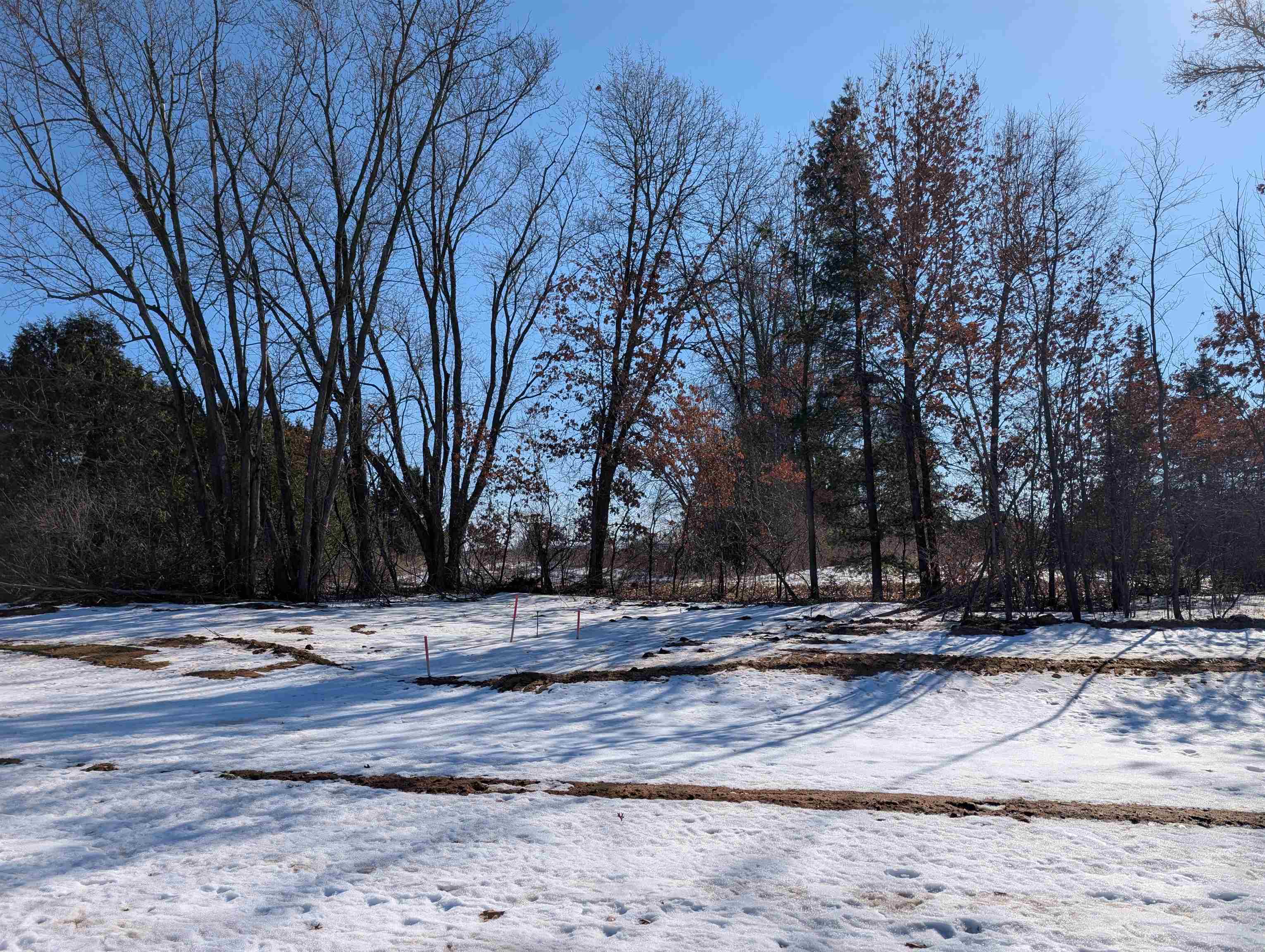 521 Amberwood Way, Plover, Wisconsin 54467, ,Land,For Sale,521 Amberwood Way,22600640