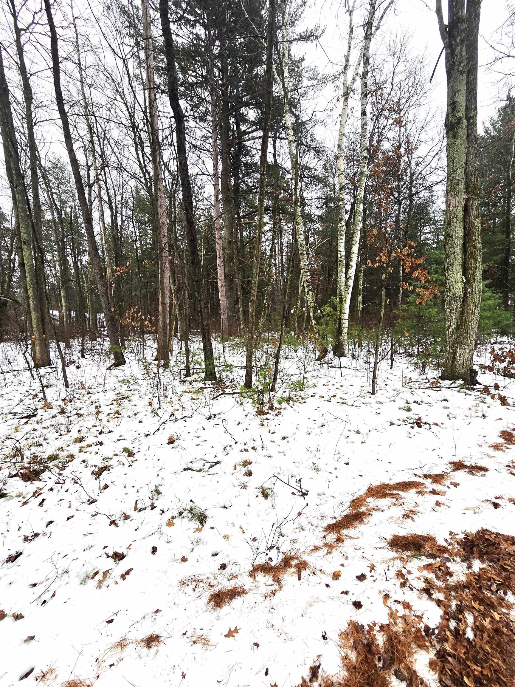 N11278 KAUFMAN ROAD, Tomahawk, Wisconsin 54487, 4 Bedrooms Bedrooms, ,2 BathroomsBathrooms,Residential,For Sale,N11278 KAUFMAN ROAD,22600641