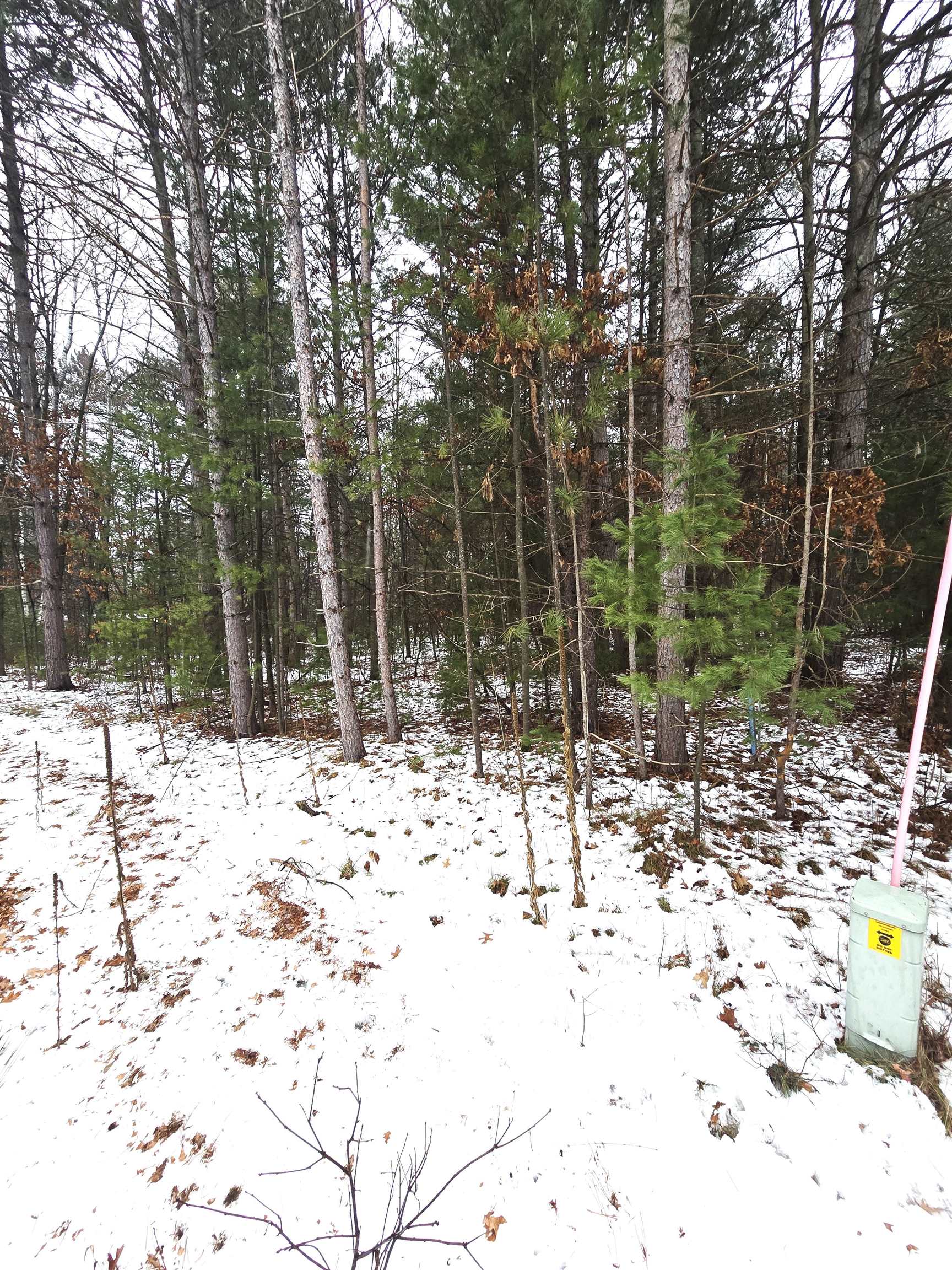 N11278 KAUFMAN ROAD, Tomahawk, Wisconsin 54487, 4 Bedrooms Bedrooms, ,2 BathroomsBathrooms,Residential,For Sale,N11278 KAUFMAN ROAD,22600641