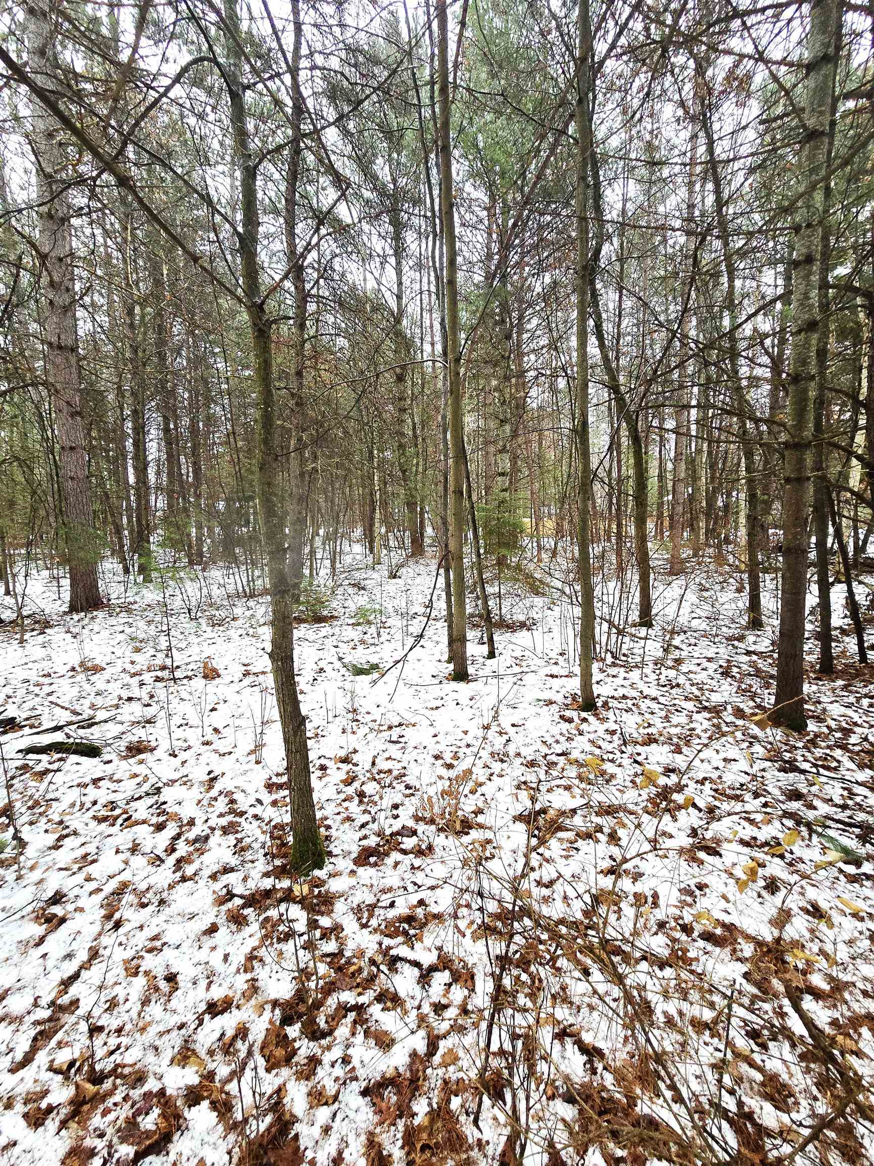 N11278 KAUFMAN ROAD, Tomahawk, Wisconsin 54487, 4 Bedrooms Bedrooms, ,2 BathroomsBathrooms,Residential,For Sale,N11278 KAUFMAN ROAD,22600641