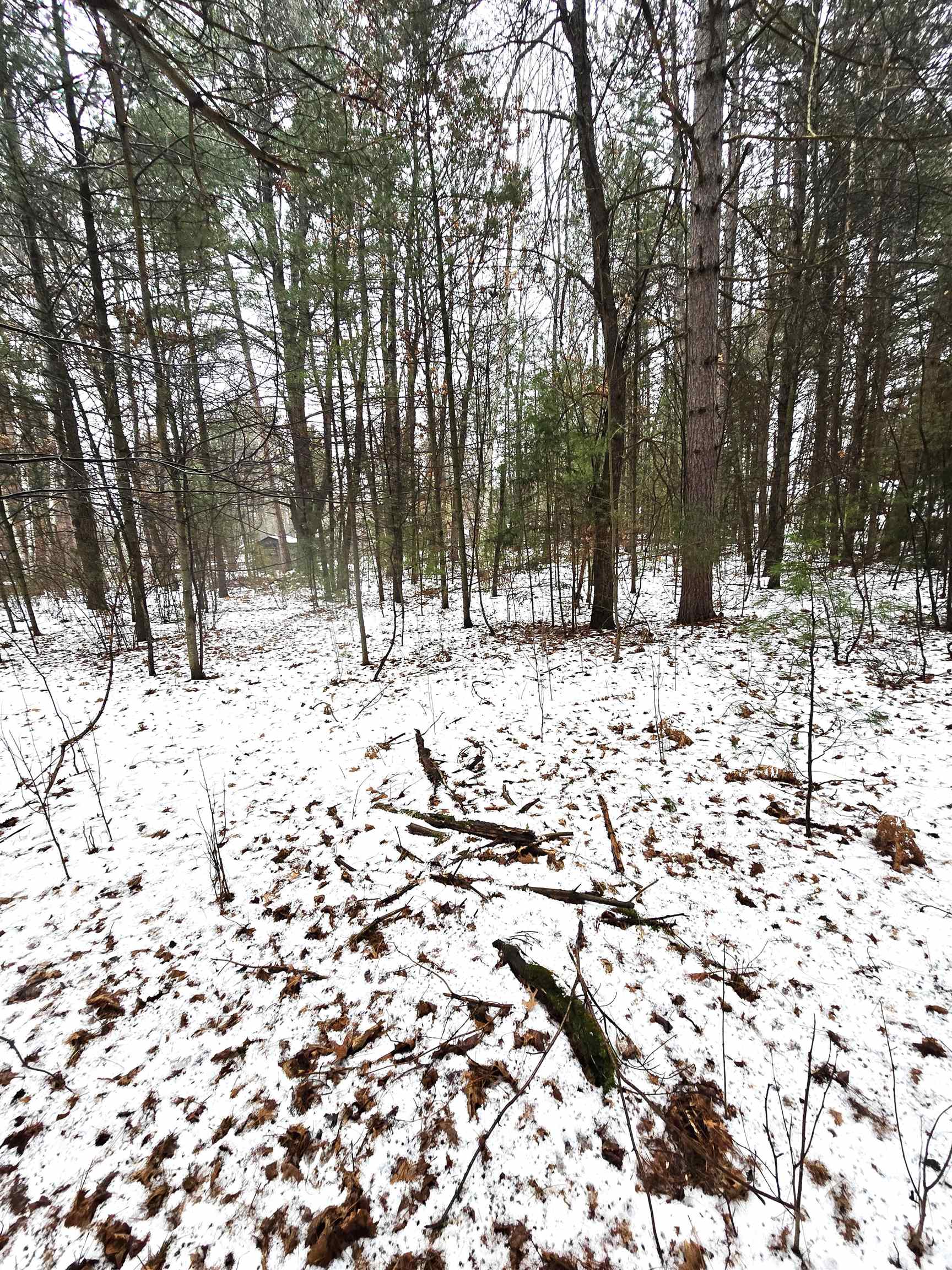 N11278 KAUFMAN ROAD, Tomahawk, Wisconsin 54487, 4 Bedrooms Bedrooms, ,2 BathroomsBathrooms,Residential,For Sale,N11278 KAUFMAN ROAD,22600641