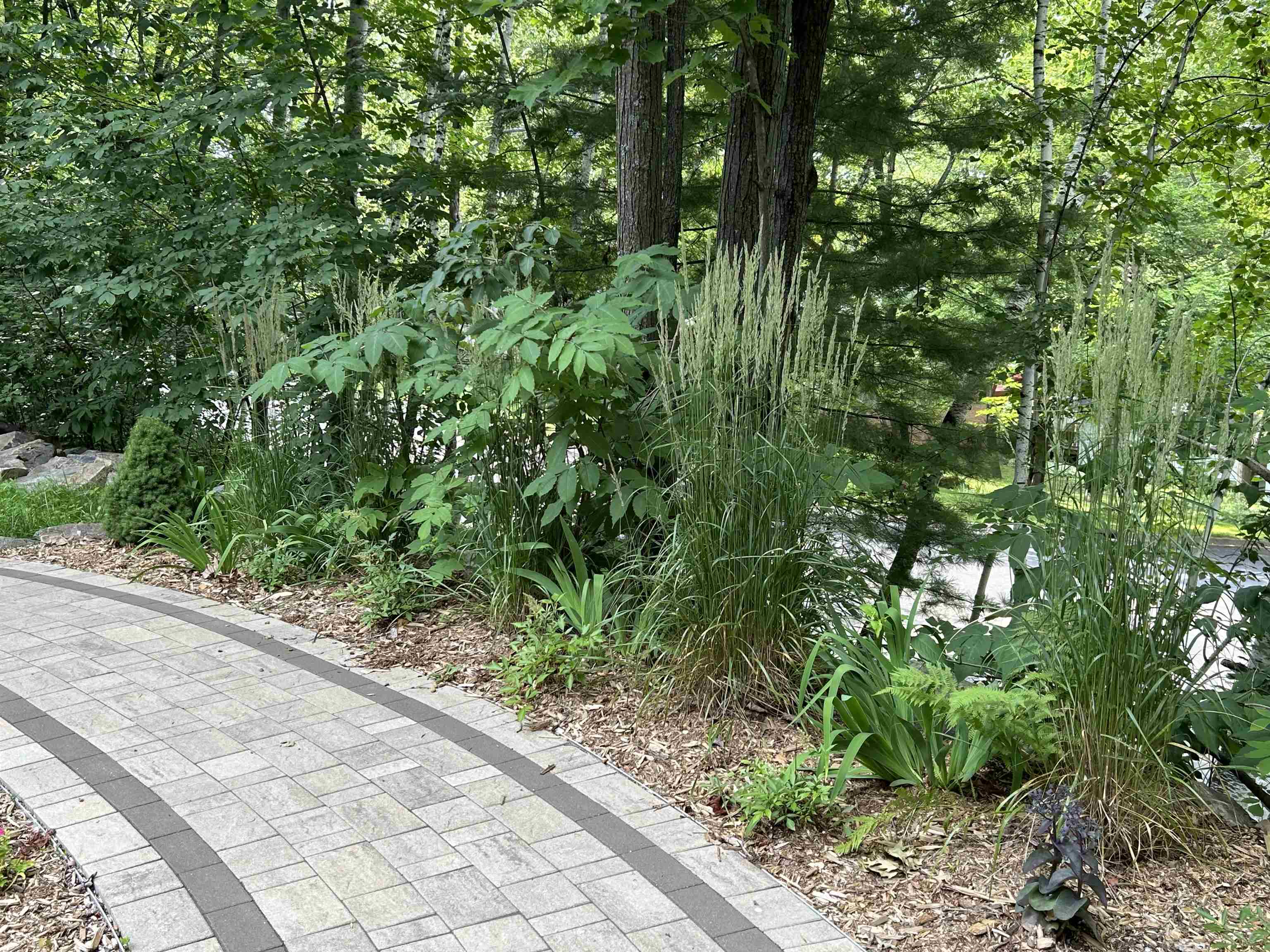 1503 STEUBEN STREET, Wausau, Wisconsin 54403, 4 Bedrooms Bedrooms, ,3 BathroomsBathrooms,Residential,For Sale,1503 STEUBEN STREET,22600648