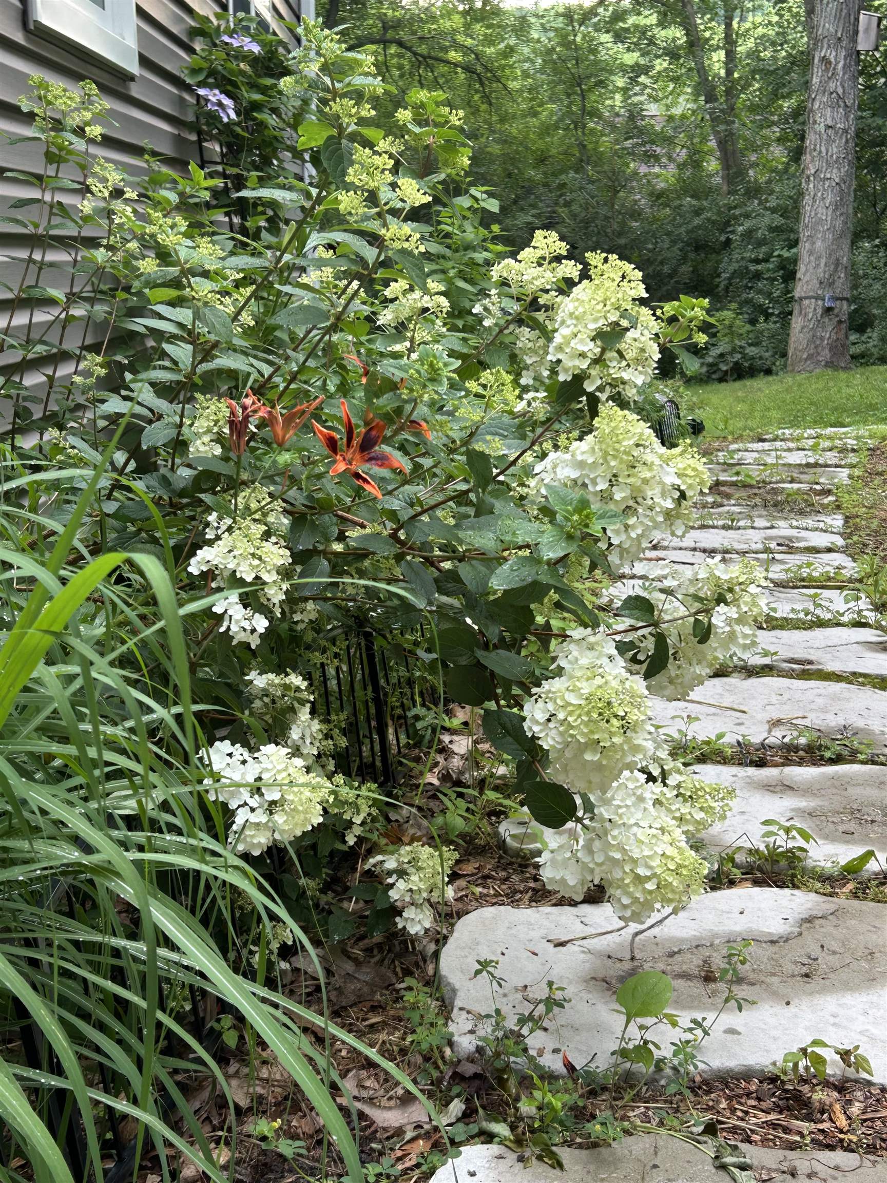 1503 STEUBEN STREET, Wausau, Wisconsin 54403, 4 Bedrooms Bedrooms, ,3 BathroomsBathrooms,Residential,For Sale,1503 STEUBEN STREET,22600648