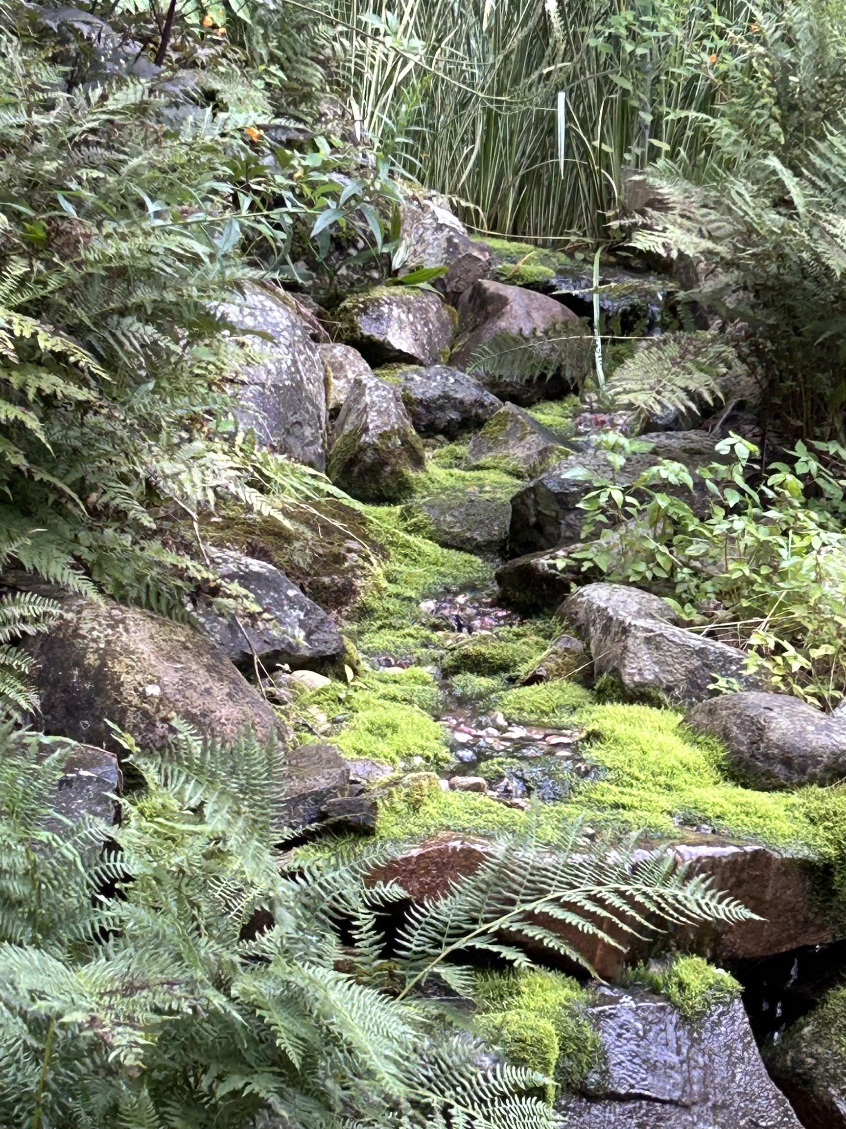 1503 STEUBEN STREET, Wausau, Wisconsin 54403, 4 Bedrooms Bedrooms, ,3 BathroomsBathrooms,Residential,For Sale,1503 STEUBEN STREET,22600648