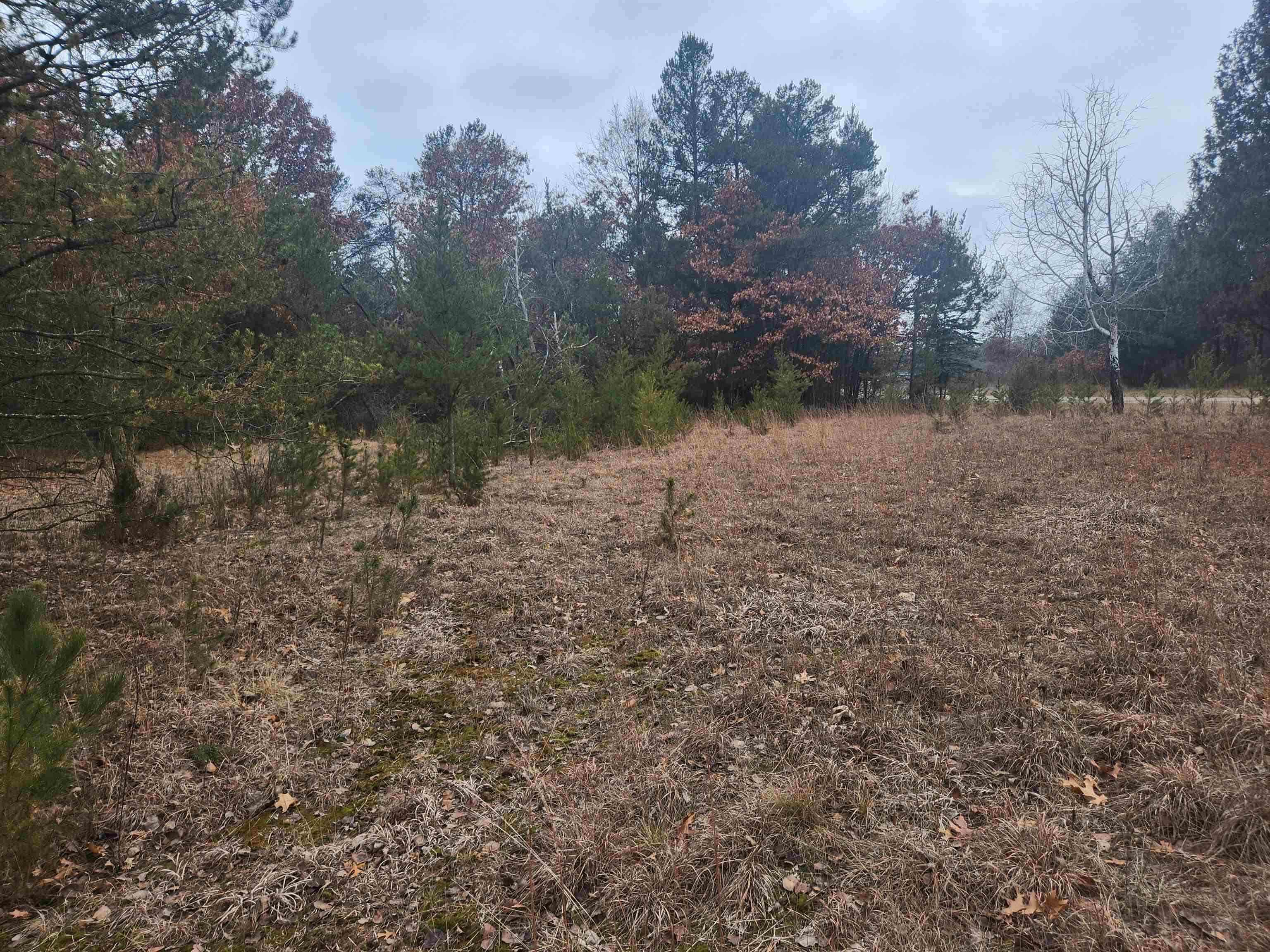 W3631 3RD STREET, Nekoosa, Wisconsin 54457, ,Land,For Sale,W3631 3RD STREET,22600667