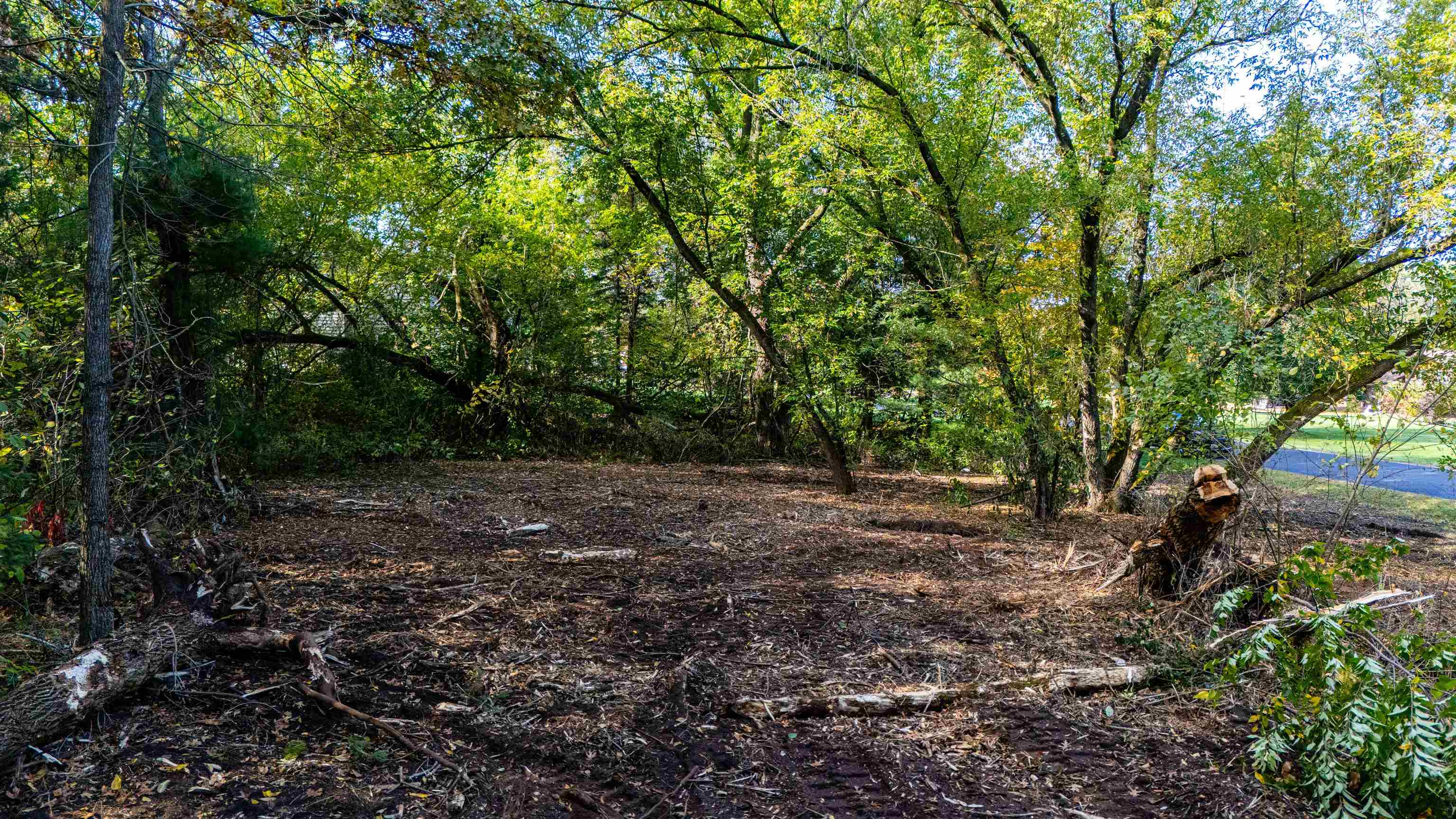 #2-1 Lot BAY VIEW DRIVE, Mosinee, Wisconsin 54455, ,Land,For Sale,#2-1 Lot BAY VIEW DRIVE,22600674