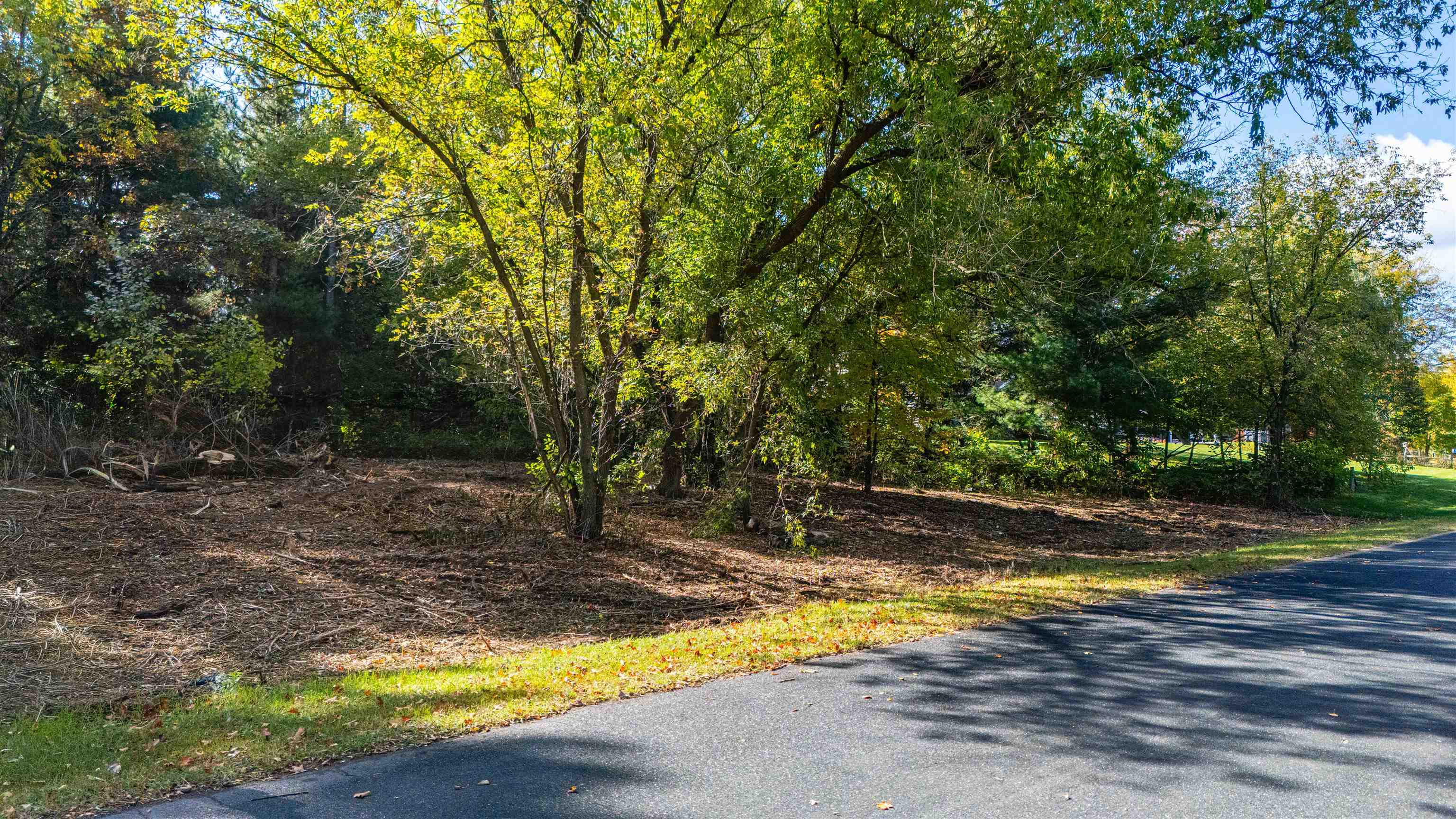 #2-1 Lot BAY VIEW DRIVE, Mosinee, Wisconsin 54455, ,Land,For Sale,#2-1 Lot BAY VIEW DRIVE,22600674