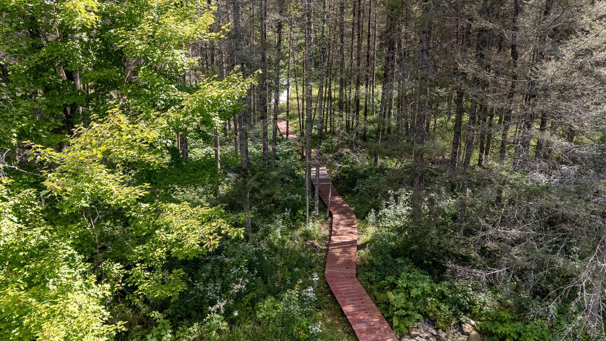 9194 STATE HIGHWAY 55, Argonne, Wisconsin 54511, 4 Bedrooms Bedrooms, ,2 BathroomsBathrooms,Residential,For Sale,9194 STATE HIGHWAY 55,22600689