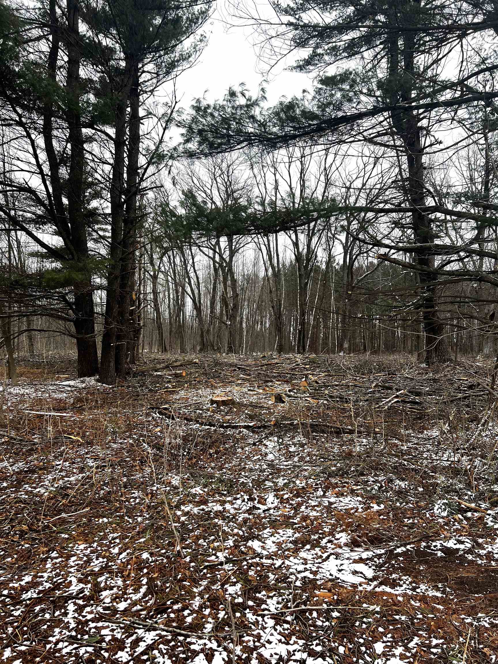 MOUNT VISTA ROAD, Mosinee, Wisconsin 54455, ,Land,For Sale,MOUNT VISTA ROAD,22600692