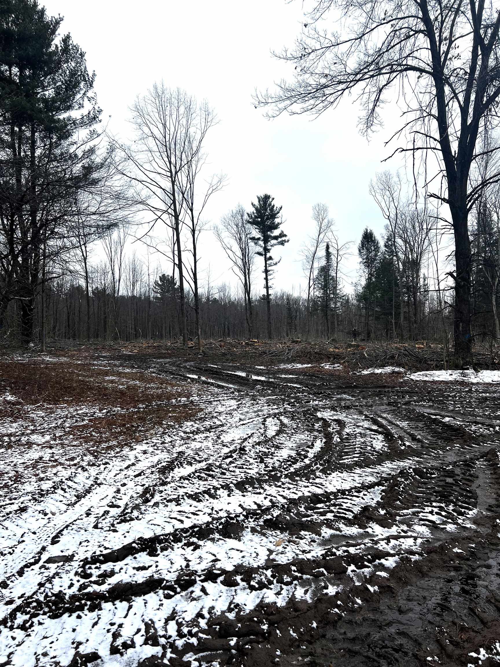 MOUNT VISTA ROAD, Mosinee, Wisconsin 54455, ,Land,For Sale,MOUNT VISTA ROAD,22600692