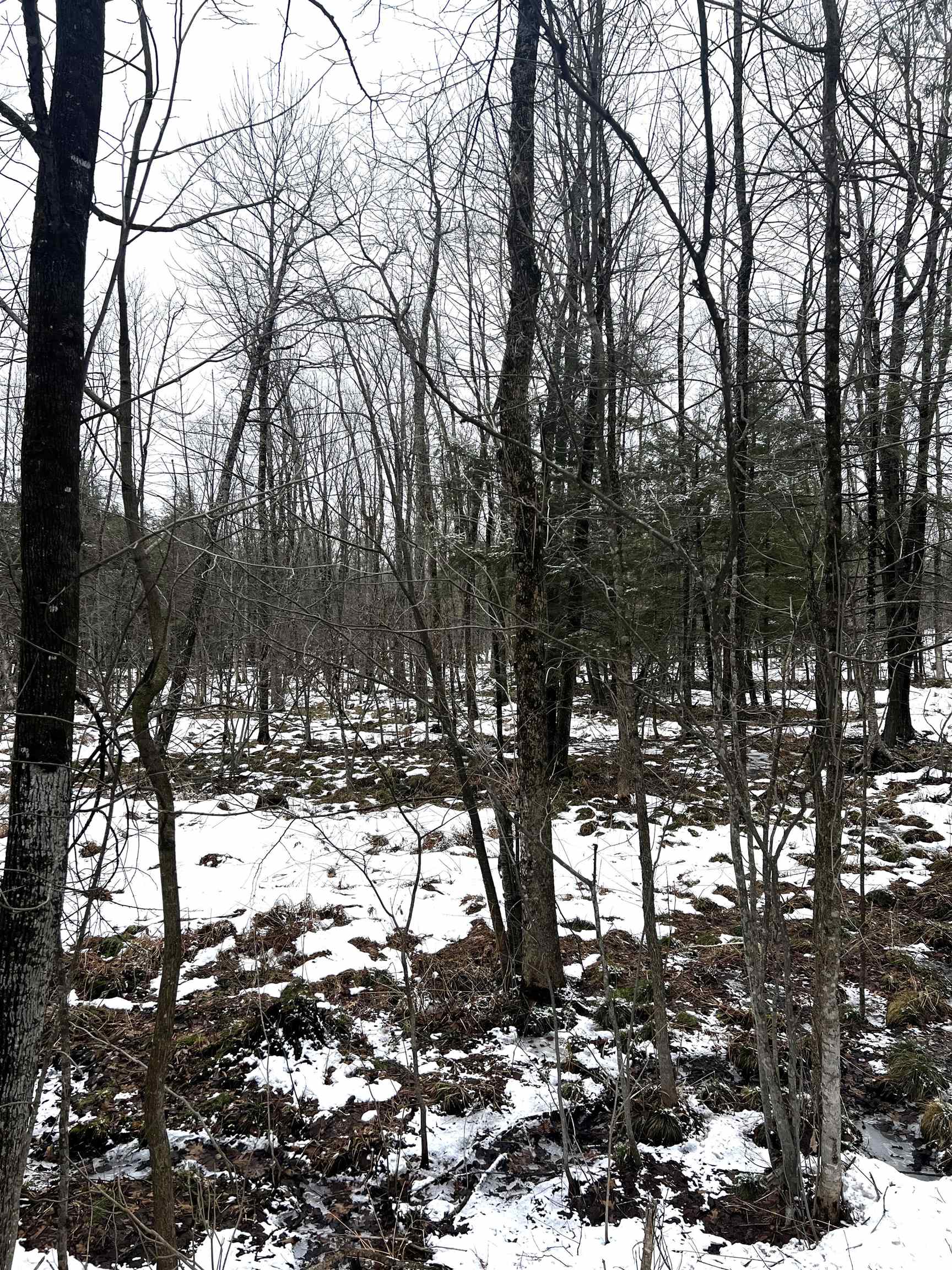 MOUNT VISTA ROAD, Mosinee, Wisconsin 54455, ,Land,For Sale,MOUNT VISTA ROAD,22600692