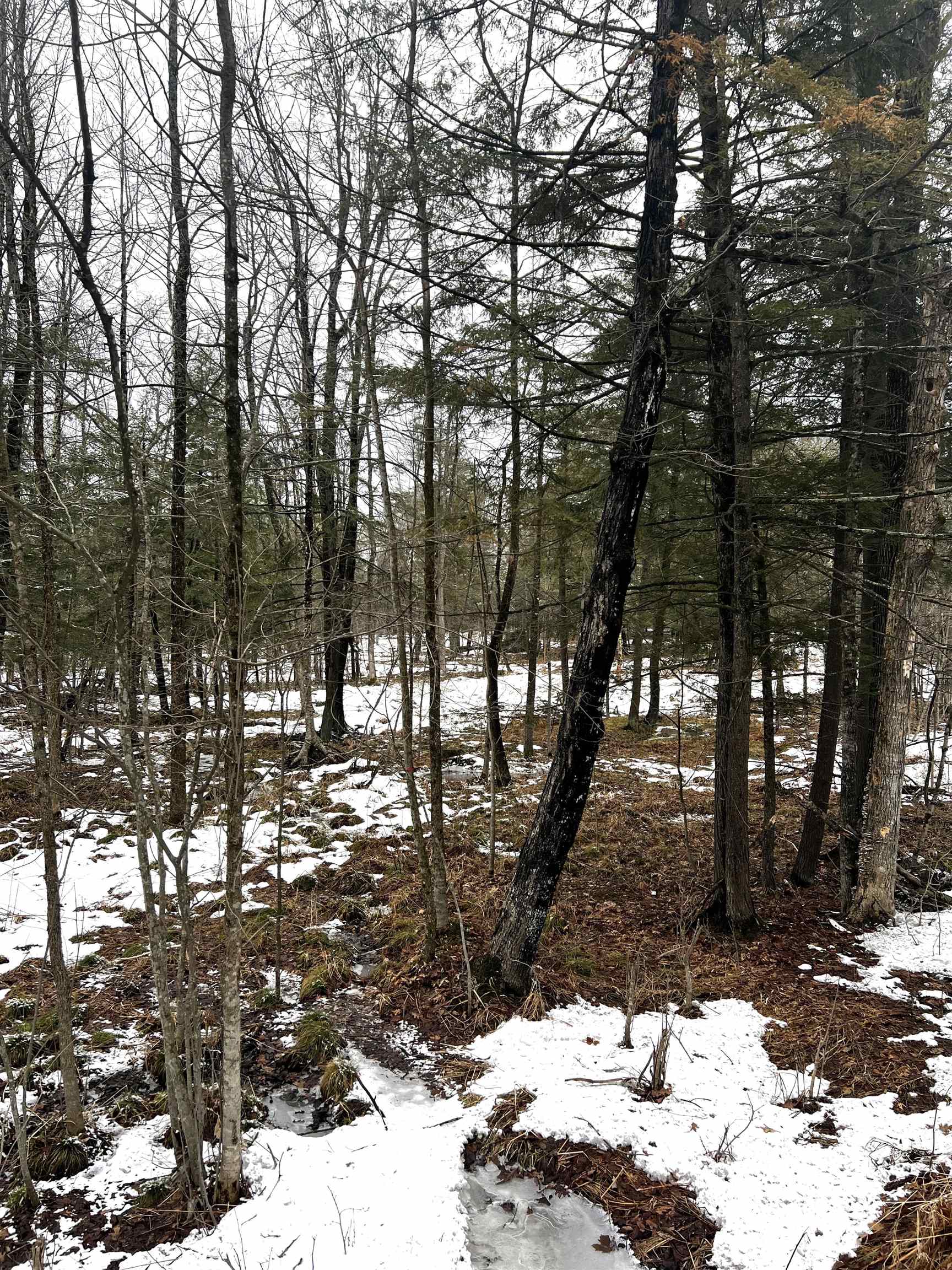 MOUNT VISTA ROAD, Mosinee, Wisconsin 54455, ,Land,For Sale,MOUNT VISTA ROAD,22600692