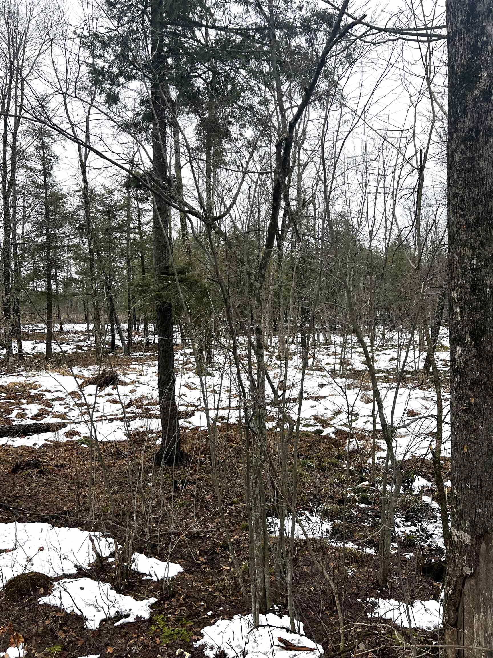 MOUNT VISTA ROAD, Mosinee, Wisconsin 54455, ,Land,For Sale,MOUNT VISTA ROAD,22600692