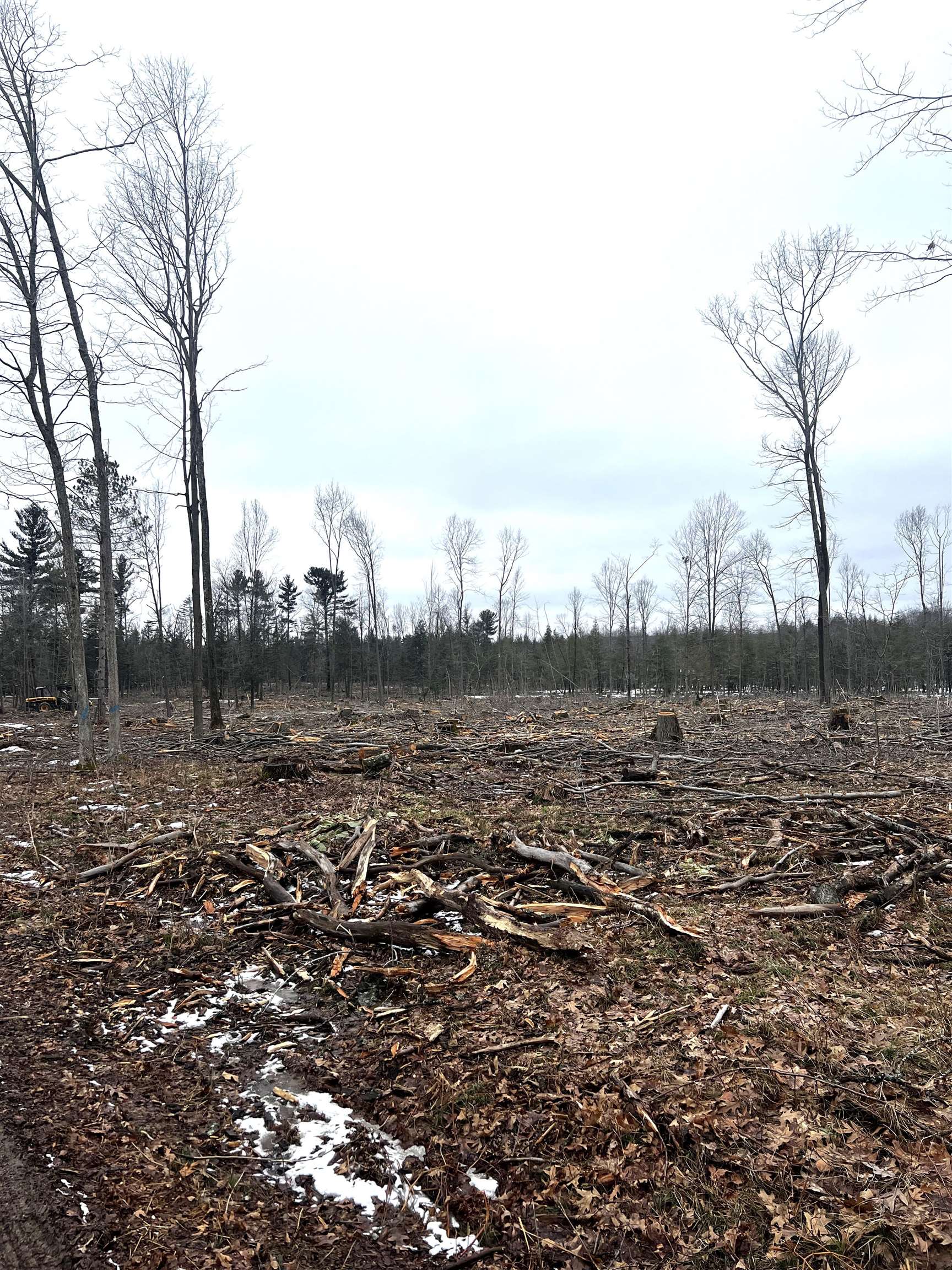 MOUNT VISTA ROAD, Mosinee, Wisconsin 54455, ,Land,For Sale,MOUNT VISTA ROAD,22600692