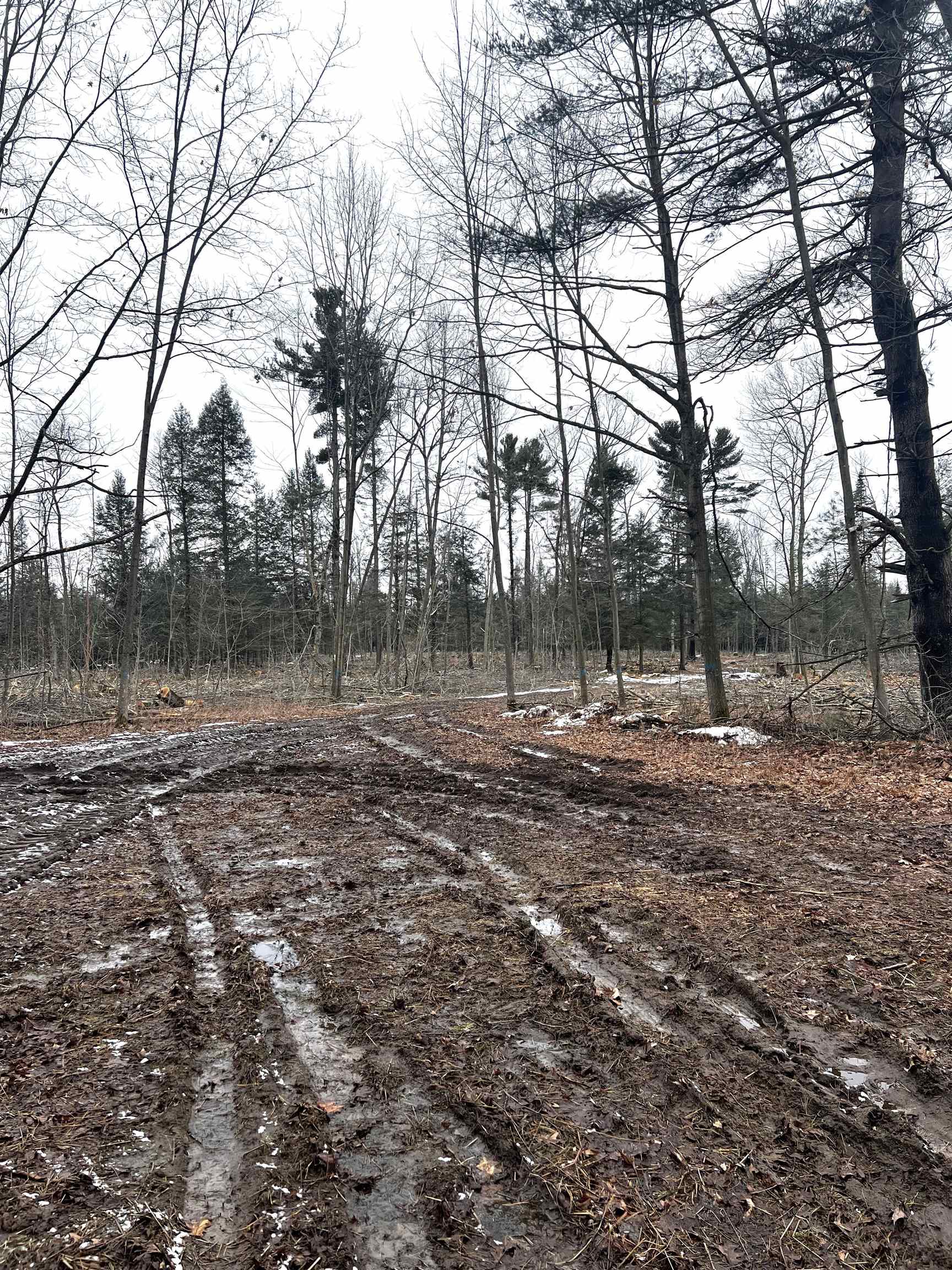 MOUNT VISTA ROAD, Mosinee, Wisconsin 54455, ,Land,For Sale,MOUNT VISTA ROAD,22600692